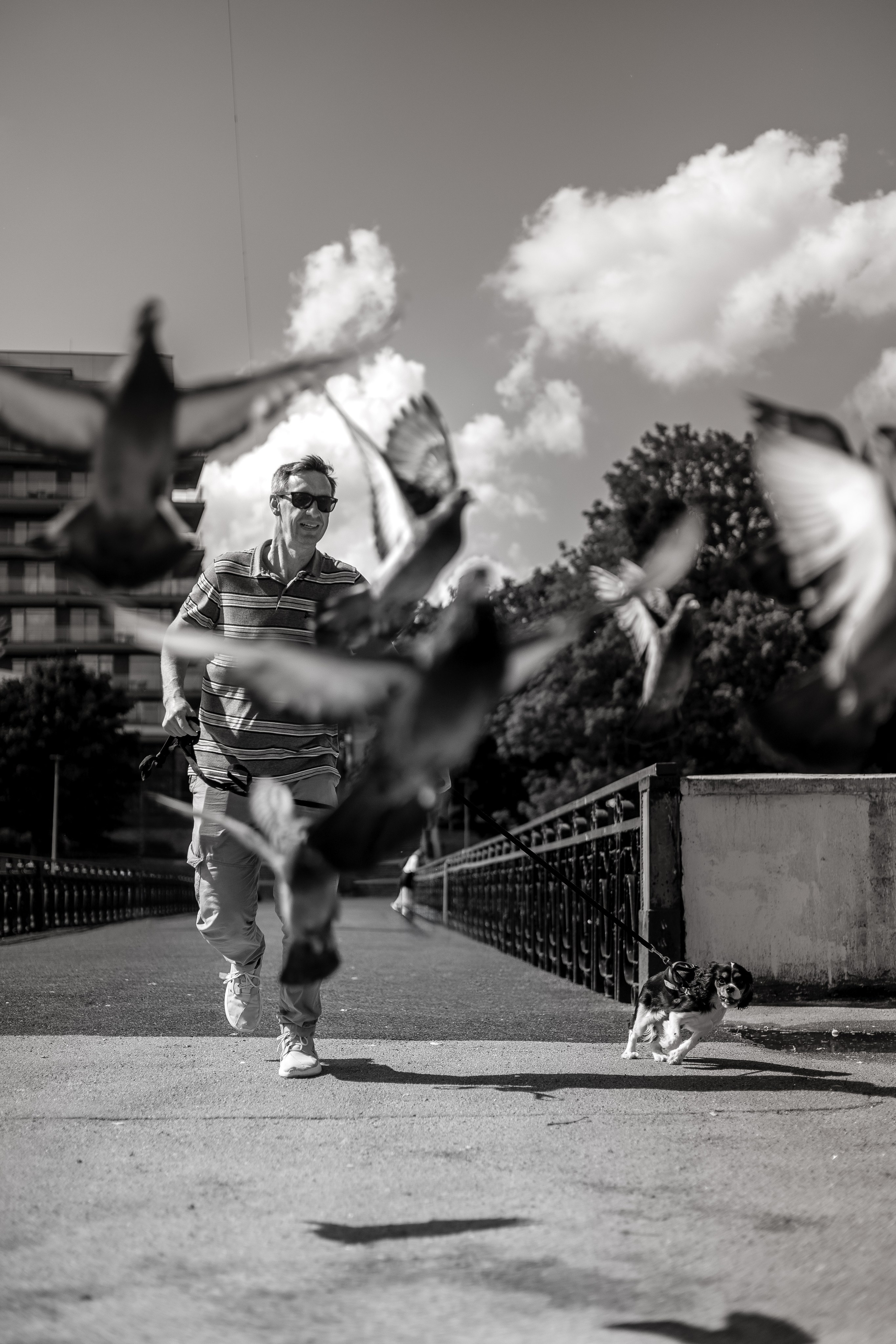 Нижнее озеро. Фотограф Елена Медок Калининград