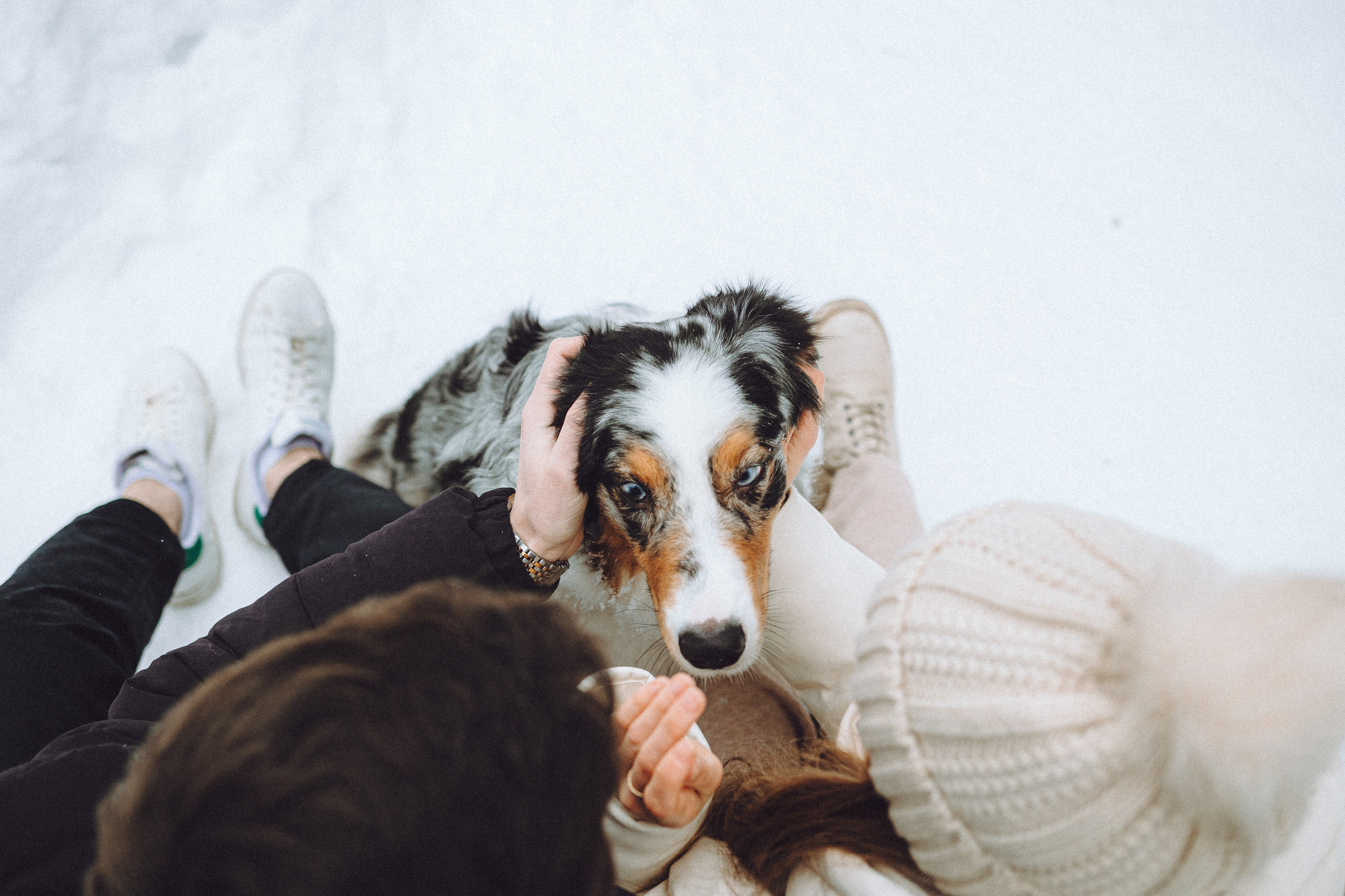 Фаня и ее семья