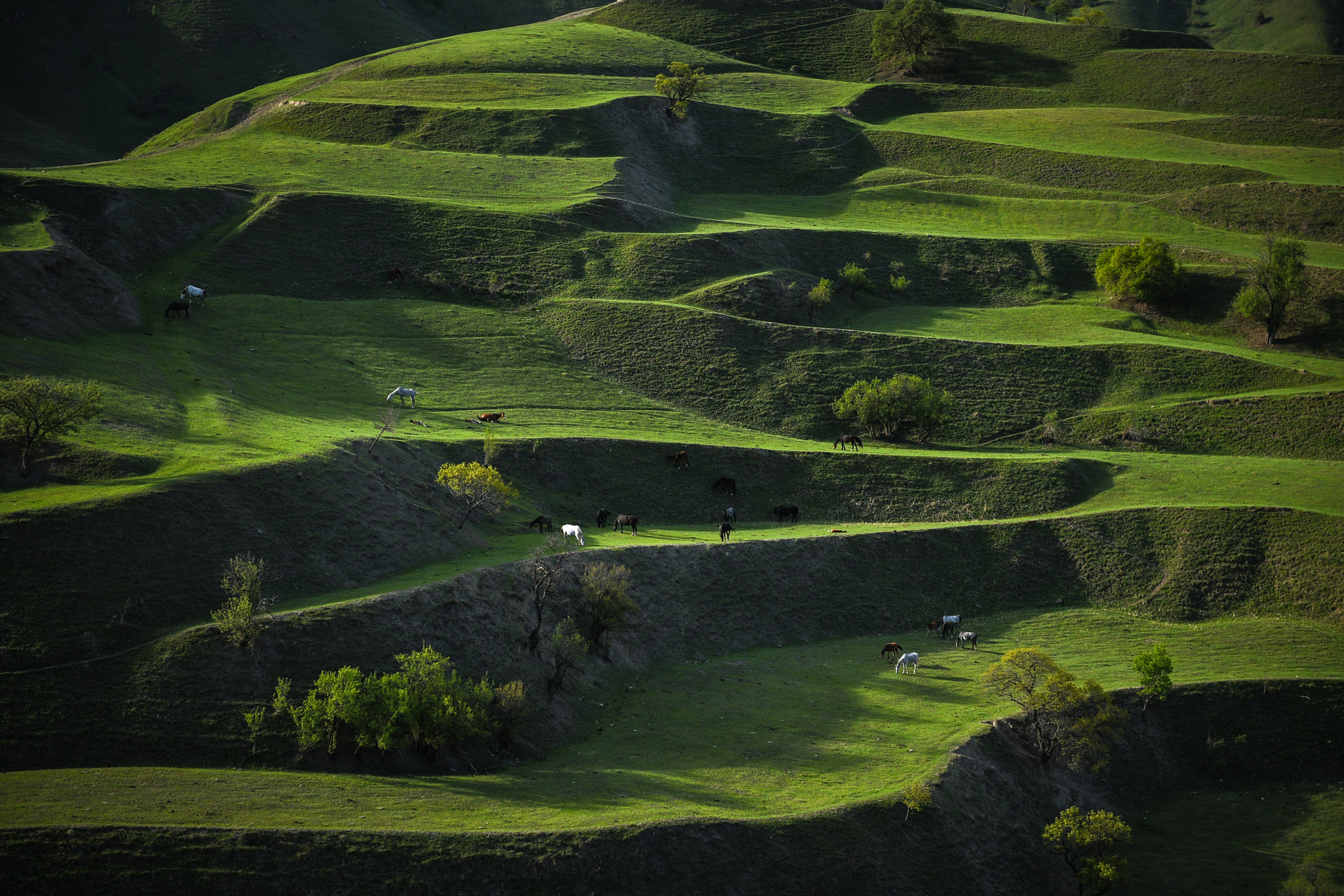 Landscapes. Anastasia Serdyuk, travel photographer, travel photo, portraits, stories, fineart prints