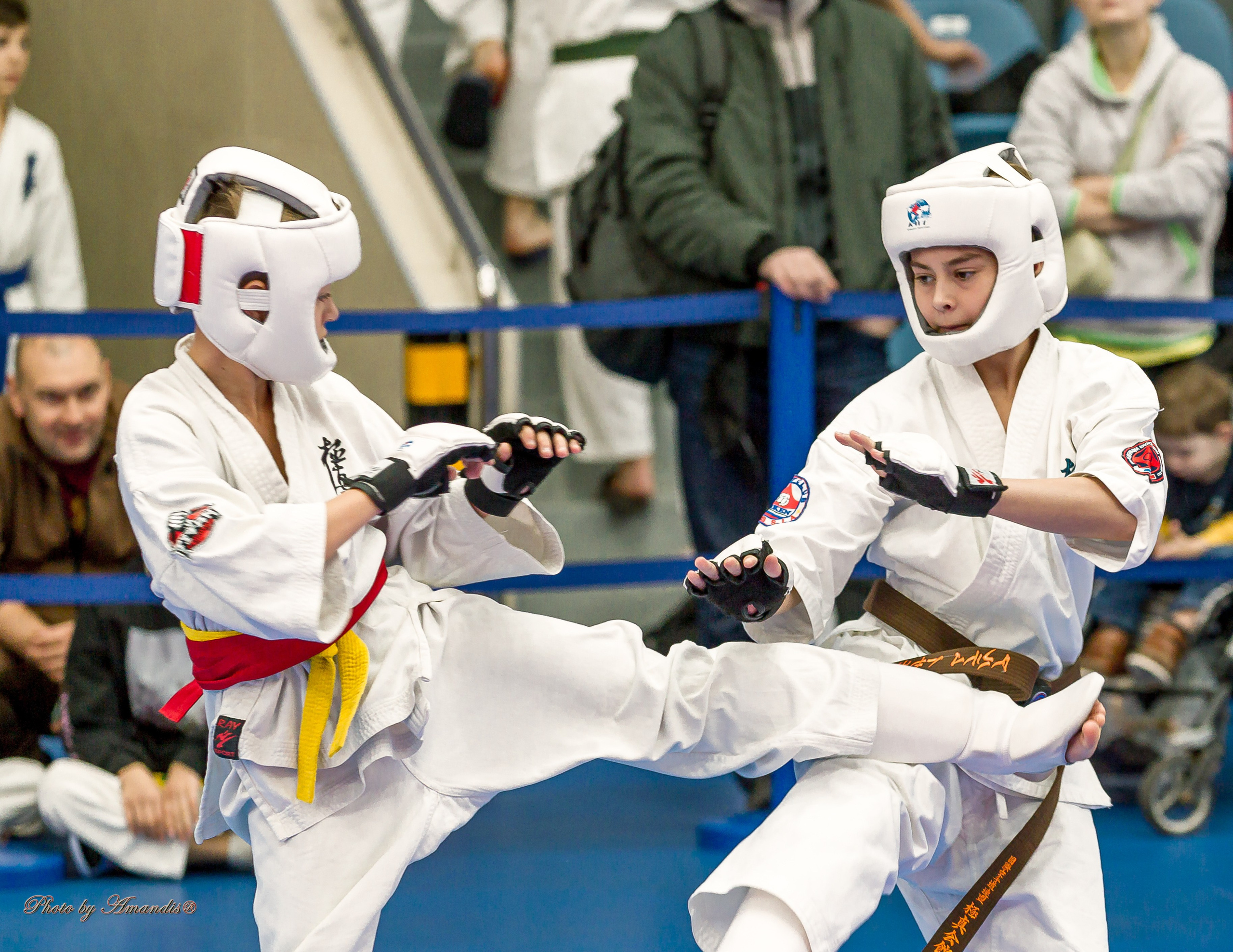 Чемпионат по Киокушинкай Центрального Федерального округа. Репортажная съемка в Москве и области. Анималистика