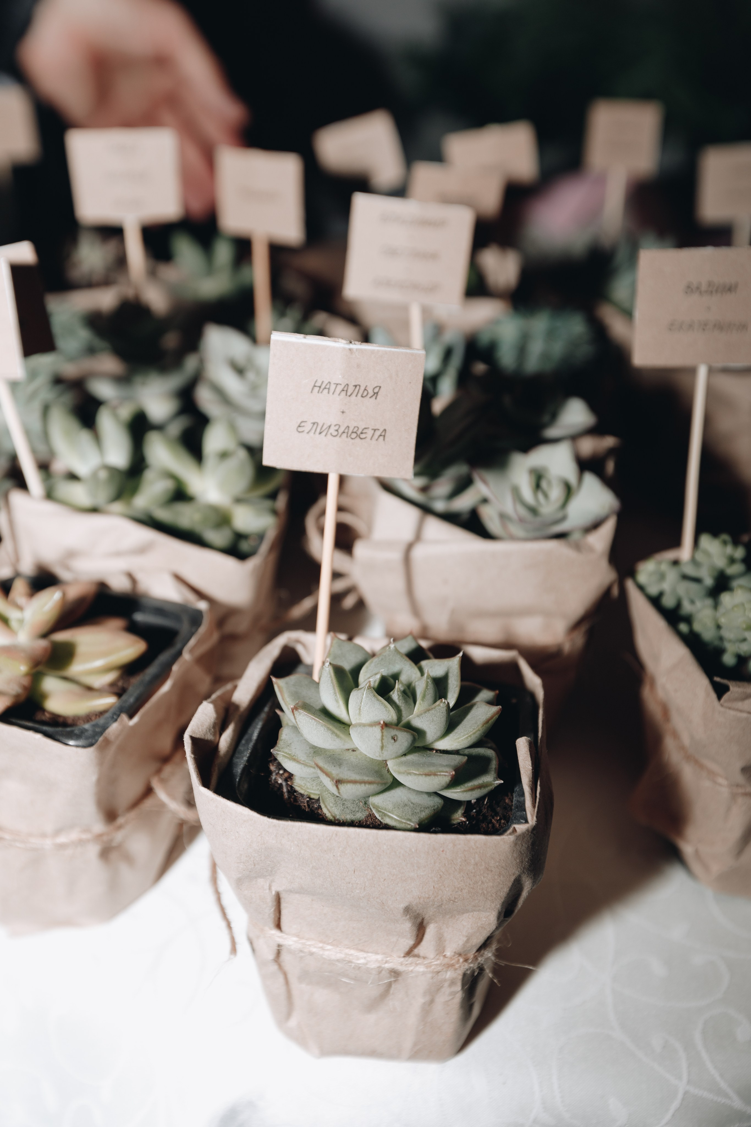 В+И. Свадебный семейный фотограф и видеограф Гомель Минск Беларусь Европа