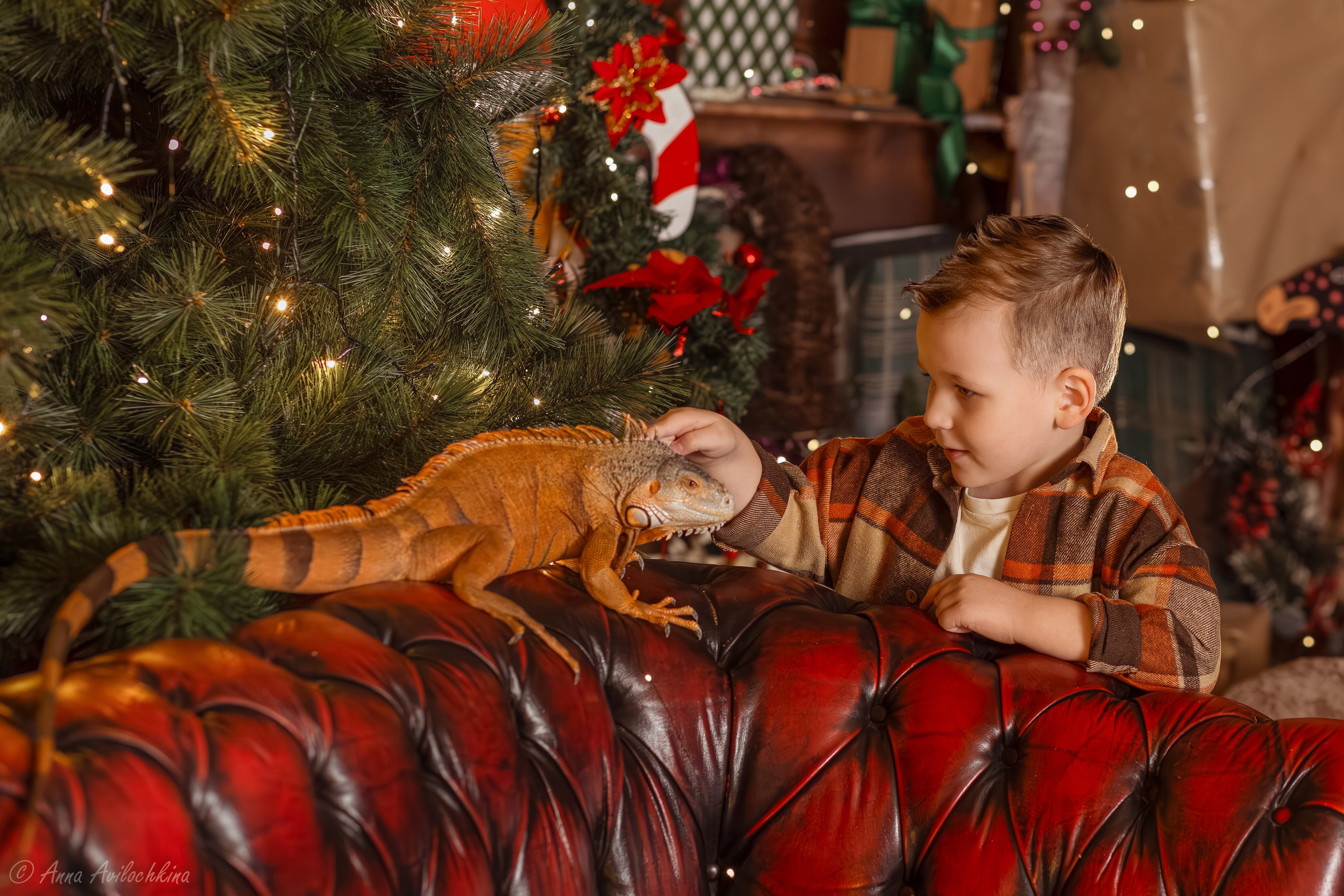 Отзывы. Семейный и свадебный фотограф в Москве и Домодедово Анна Авилочкина