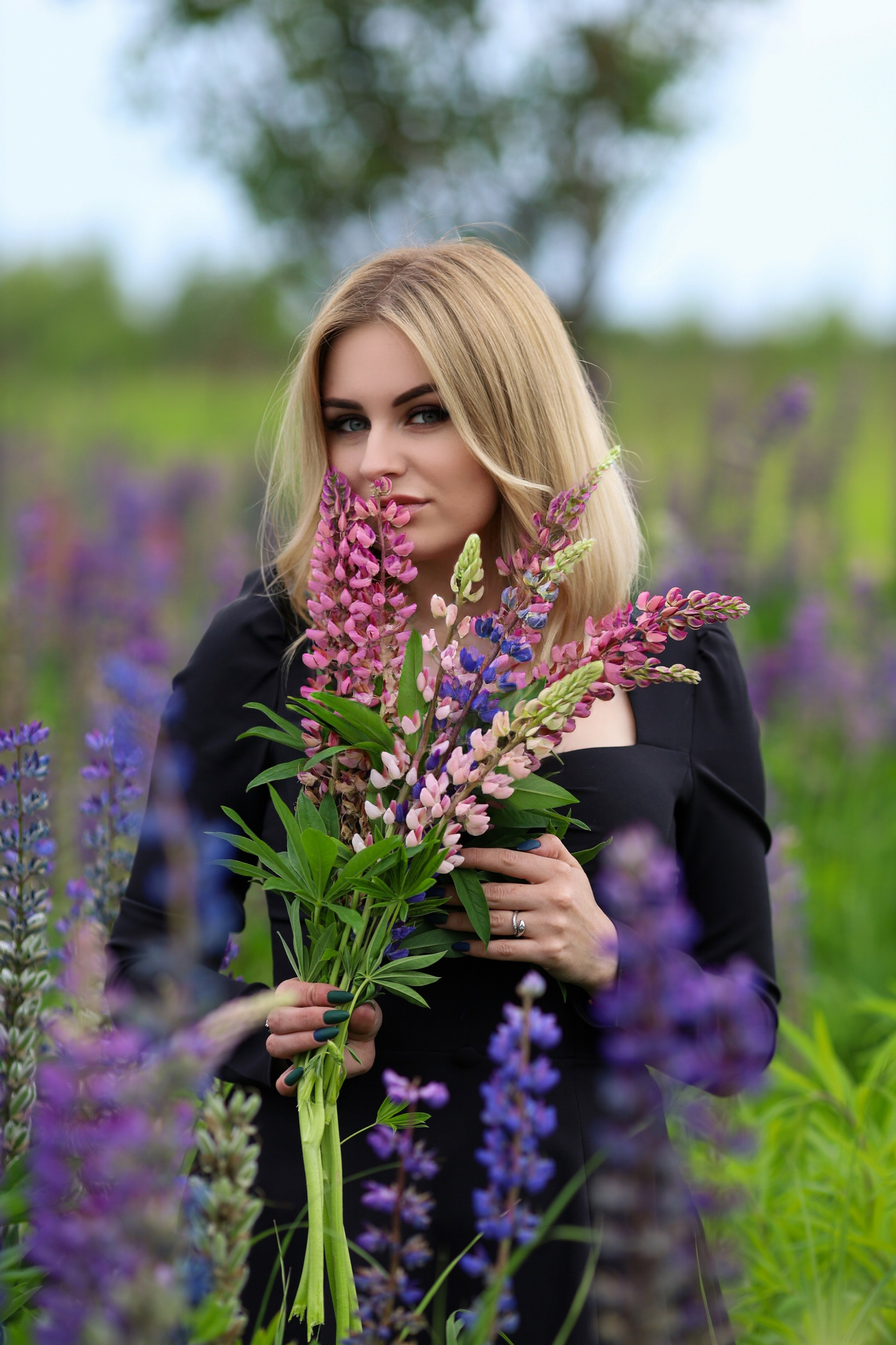 Фира. Люпины. Главная