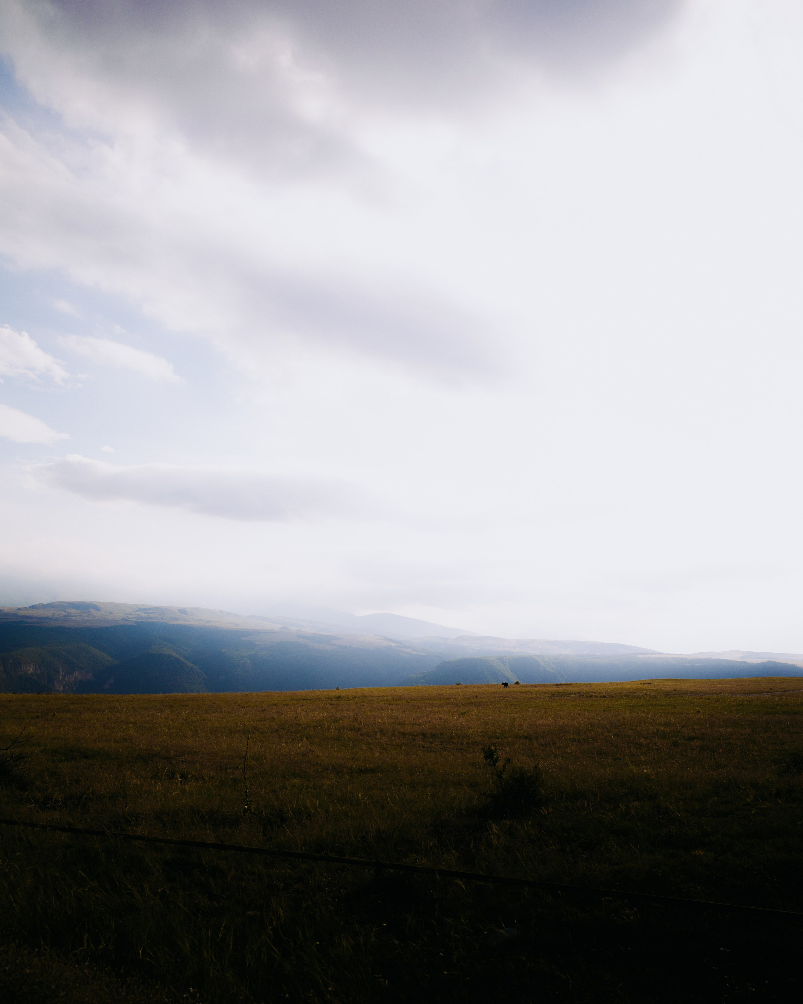 Dagestan / Yandex 360 x КУДА ГЛАЗА ГЛЯДЯТ