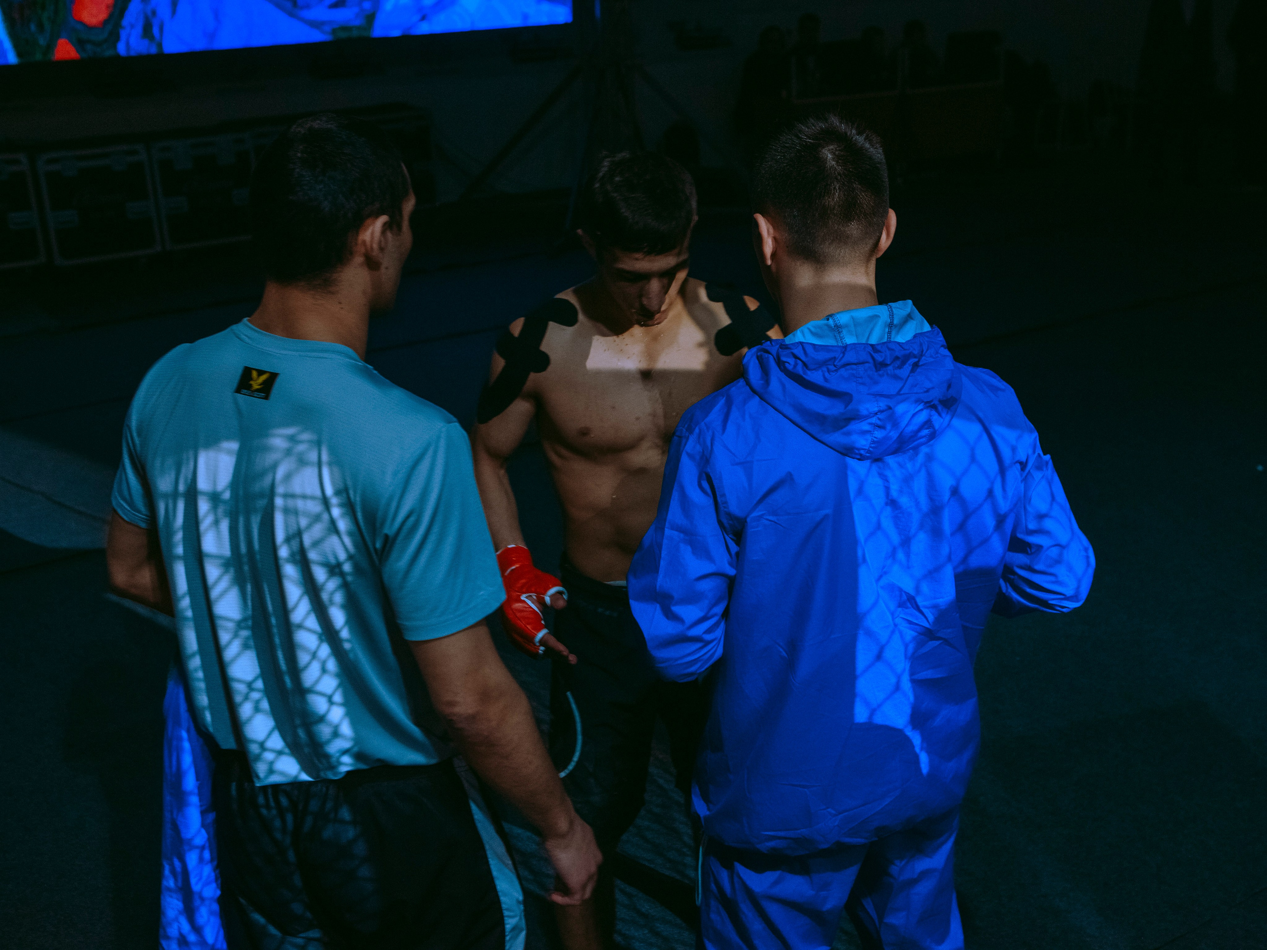 SFL 17 | Siberian Fighting League. Портретный фотограф в Москве Дарья Цезария