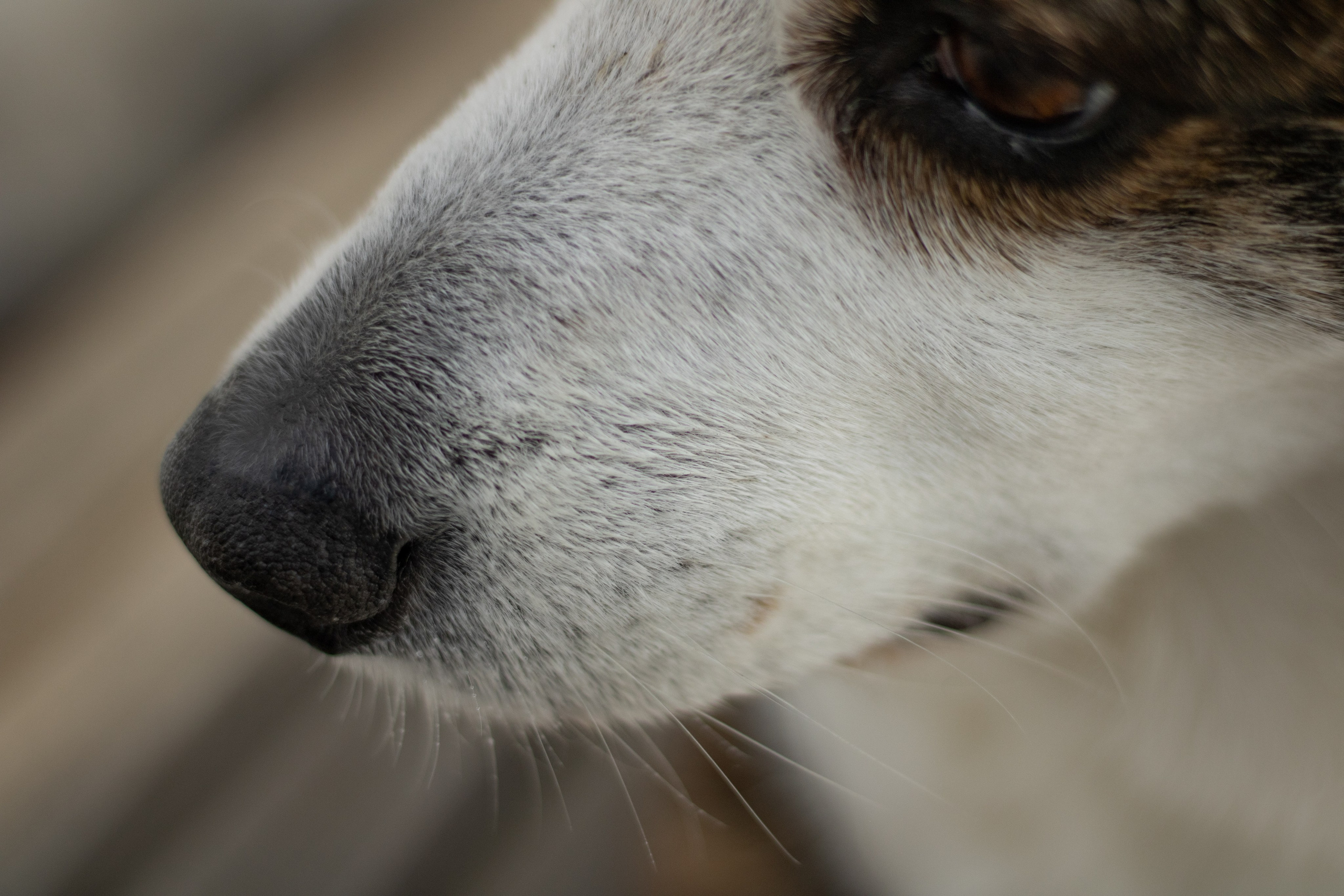 Юлия и Тэя. Катя Попова|ЛайфСтайл фотограф