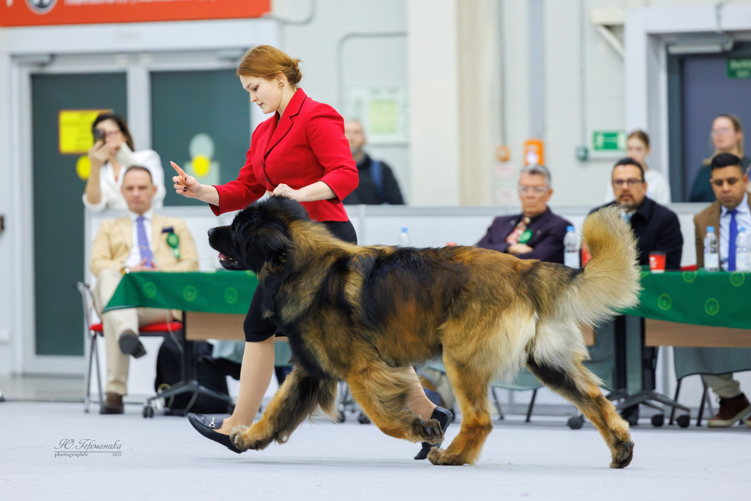 Сабанеевка Казань 25-26.01.2025. Фотограф-анималист Юлия Германика