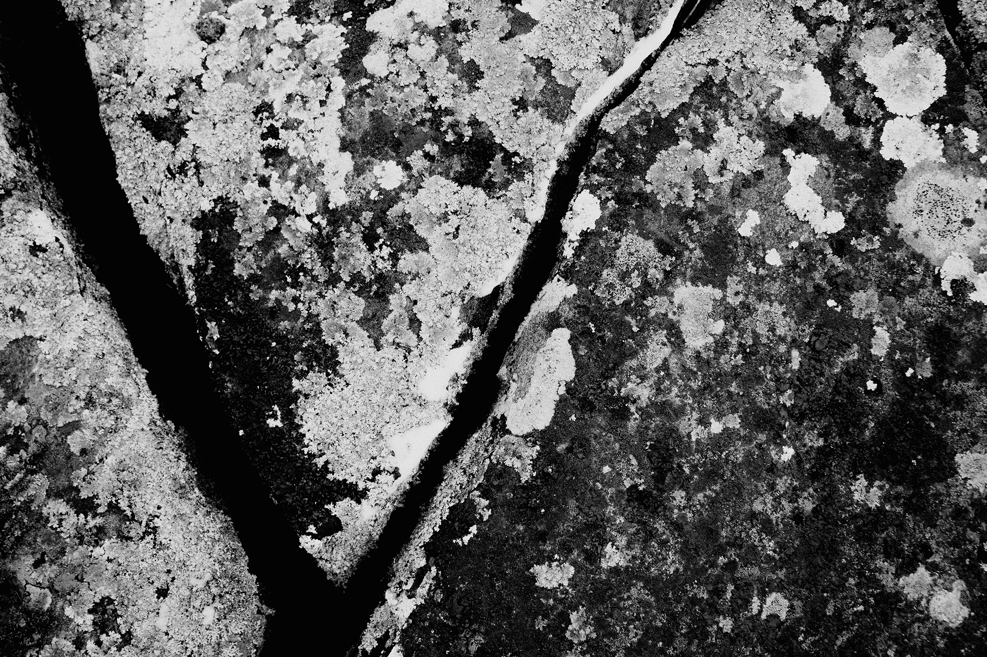 № 1. WAYHAY — Портретный фотограф