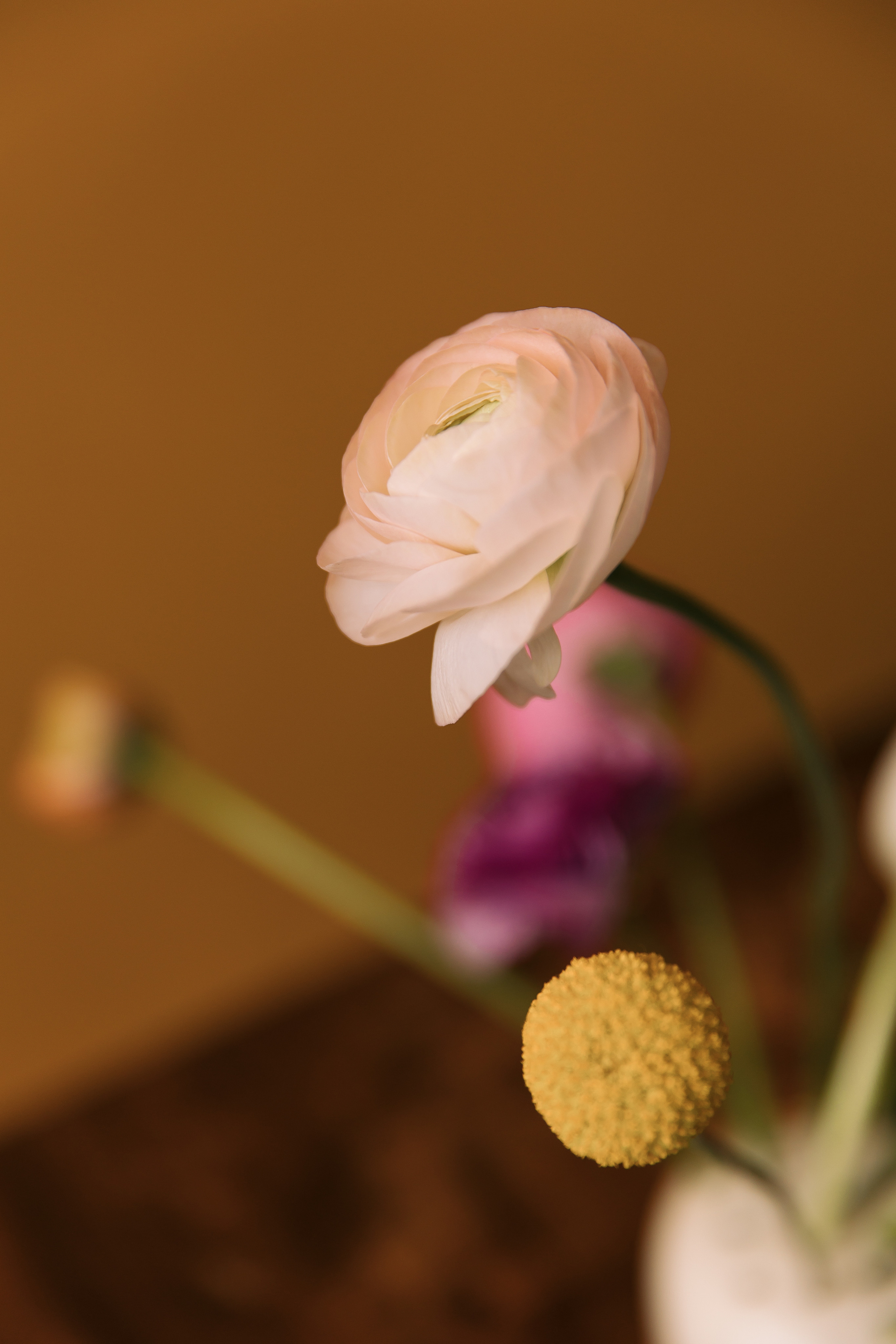 Вернара и Ярослав. Свадебный и семейный фотограф в Набережных Челнах и Казани