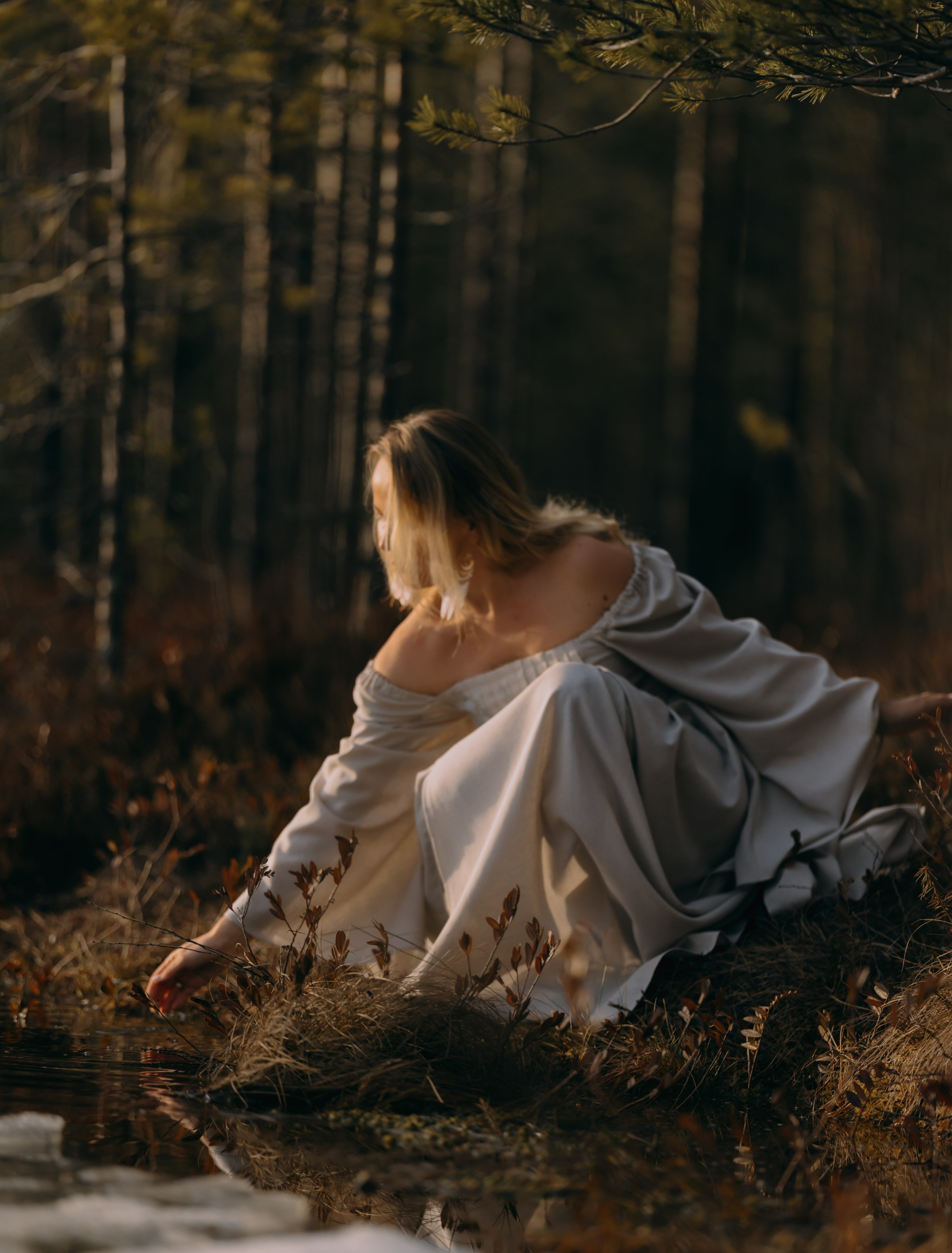 Фотосессия в карельском лесу, аренда платья. Фотограф Варвара Ермоленко