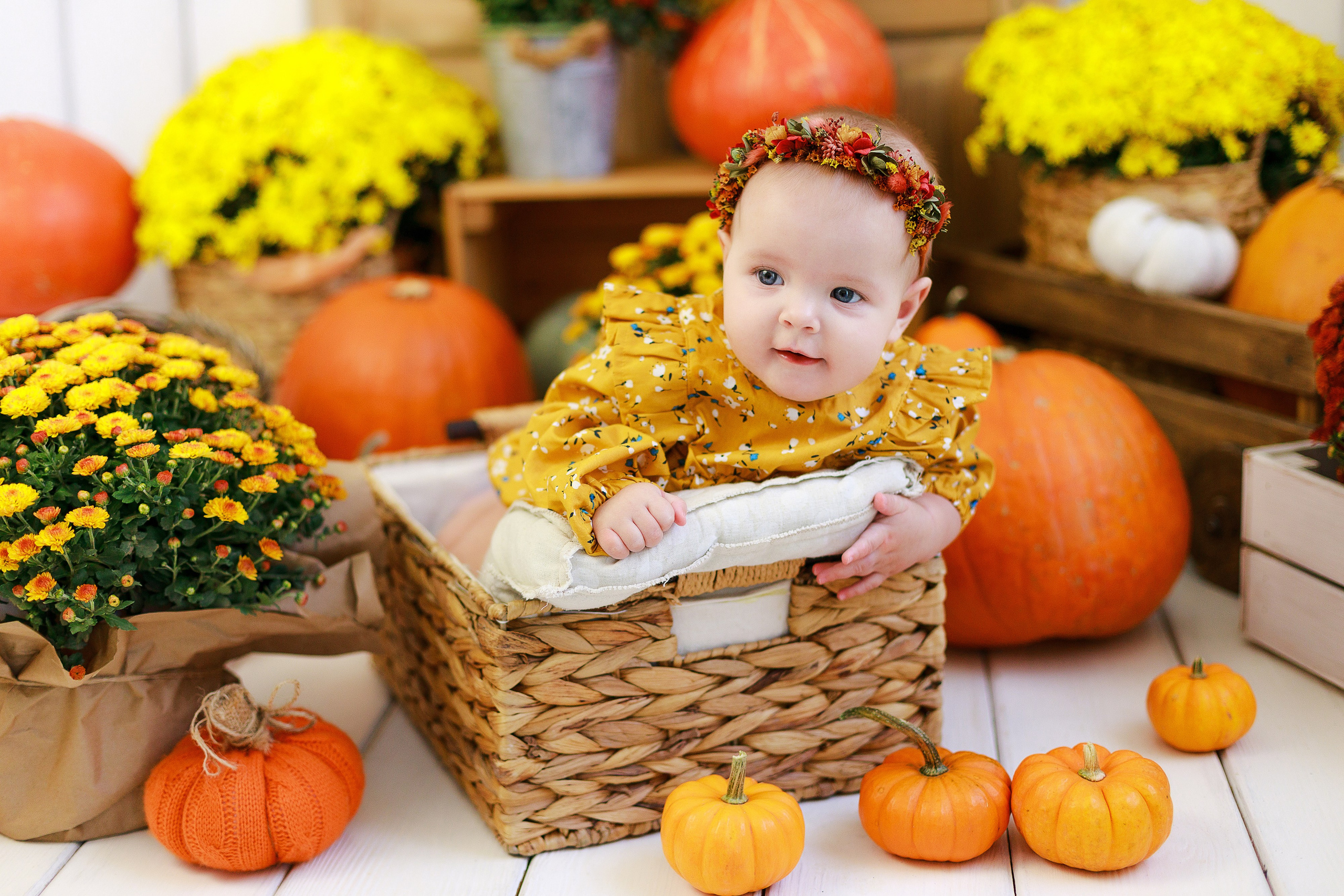 Осенняя детская фотосессия с тыквами и кроликом в Краснодаре. Детский и семейный фотограф в Краснодаре Альбина Морозова