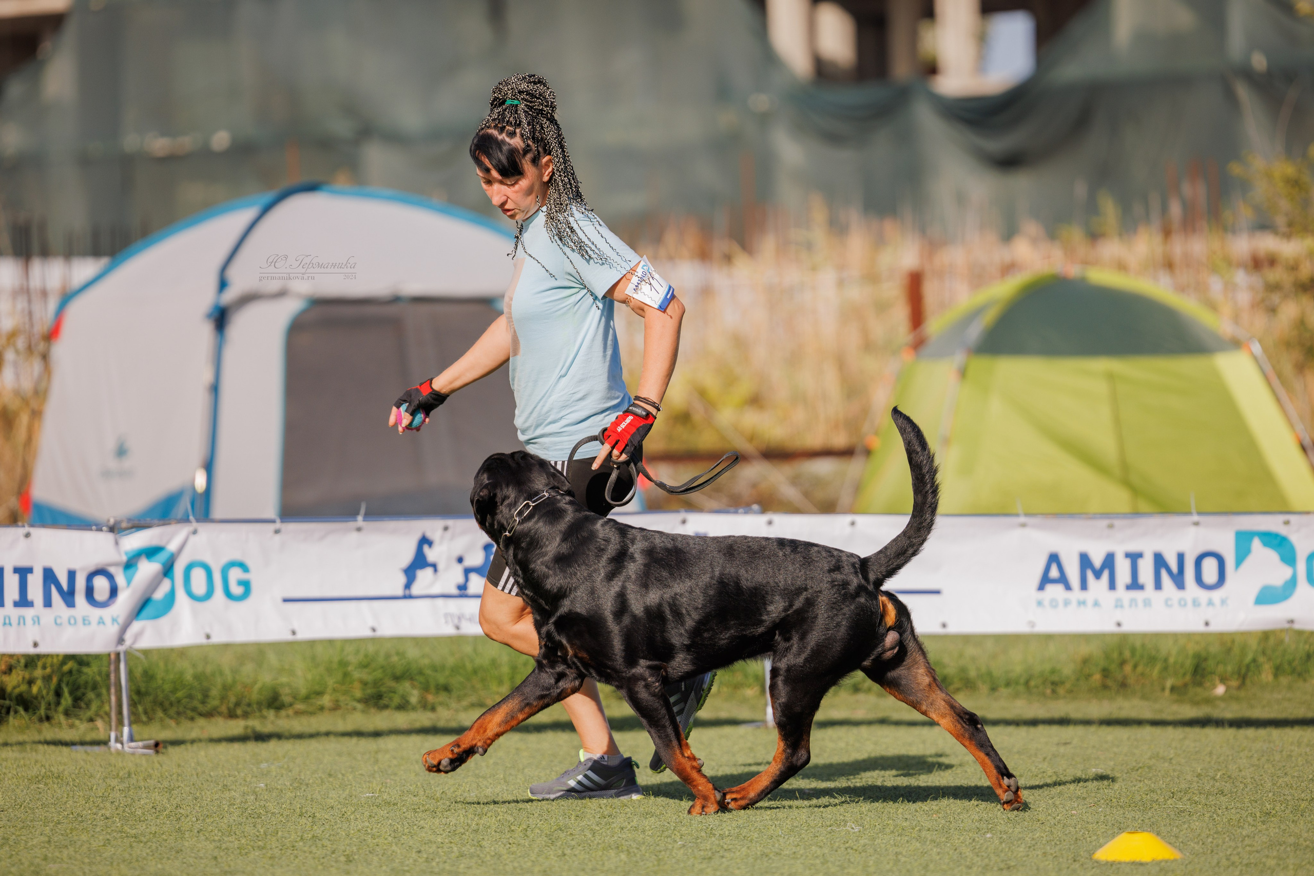 Анапа ротвейлеры 14-15.09.2024. Фотограф-анималист Юлия Германика