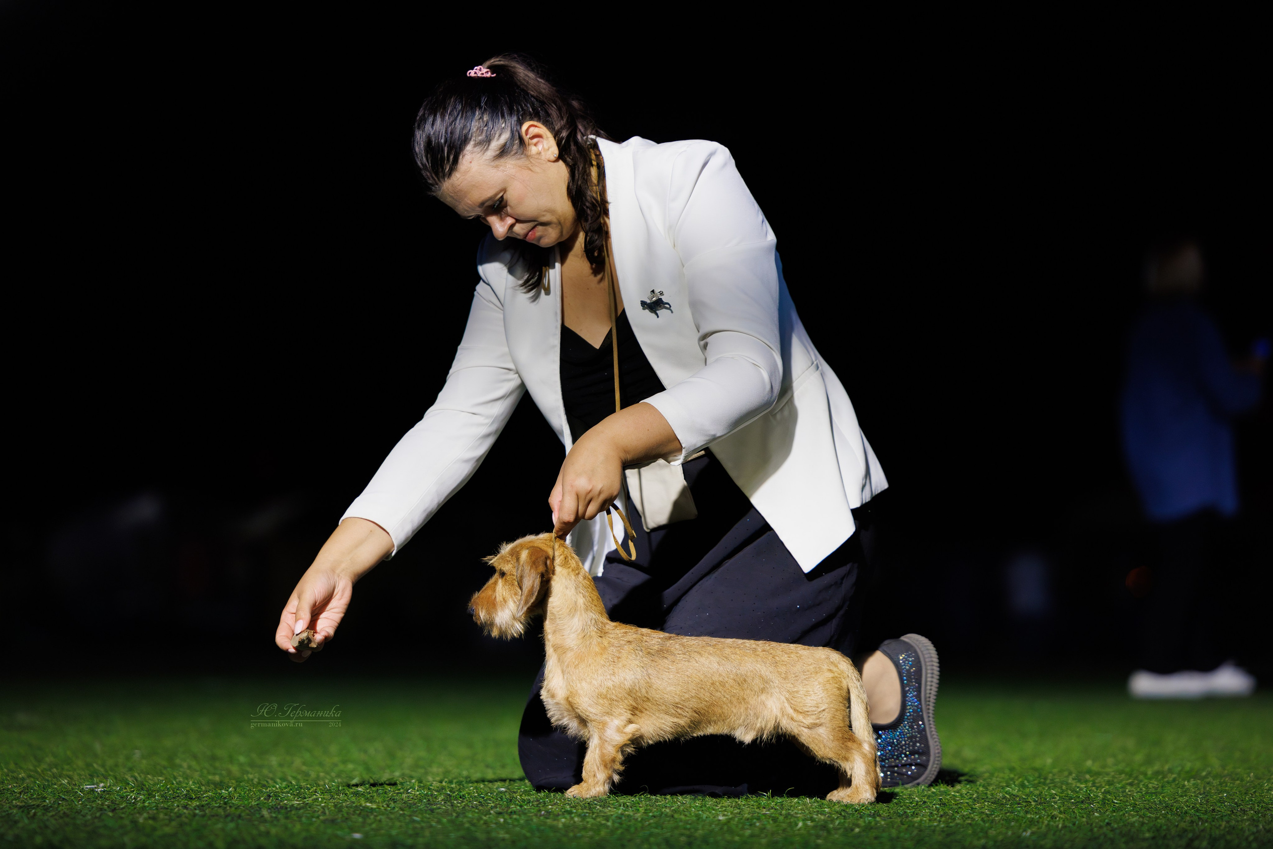 Волгоград 2-4.08.2024. Фотограф-анималист Юлия Германика