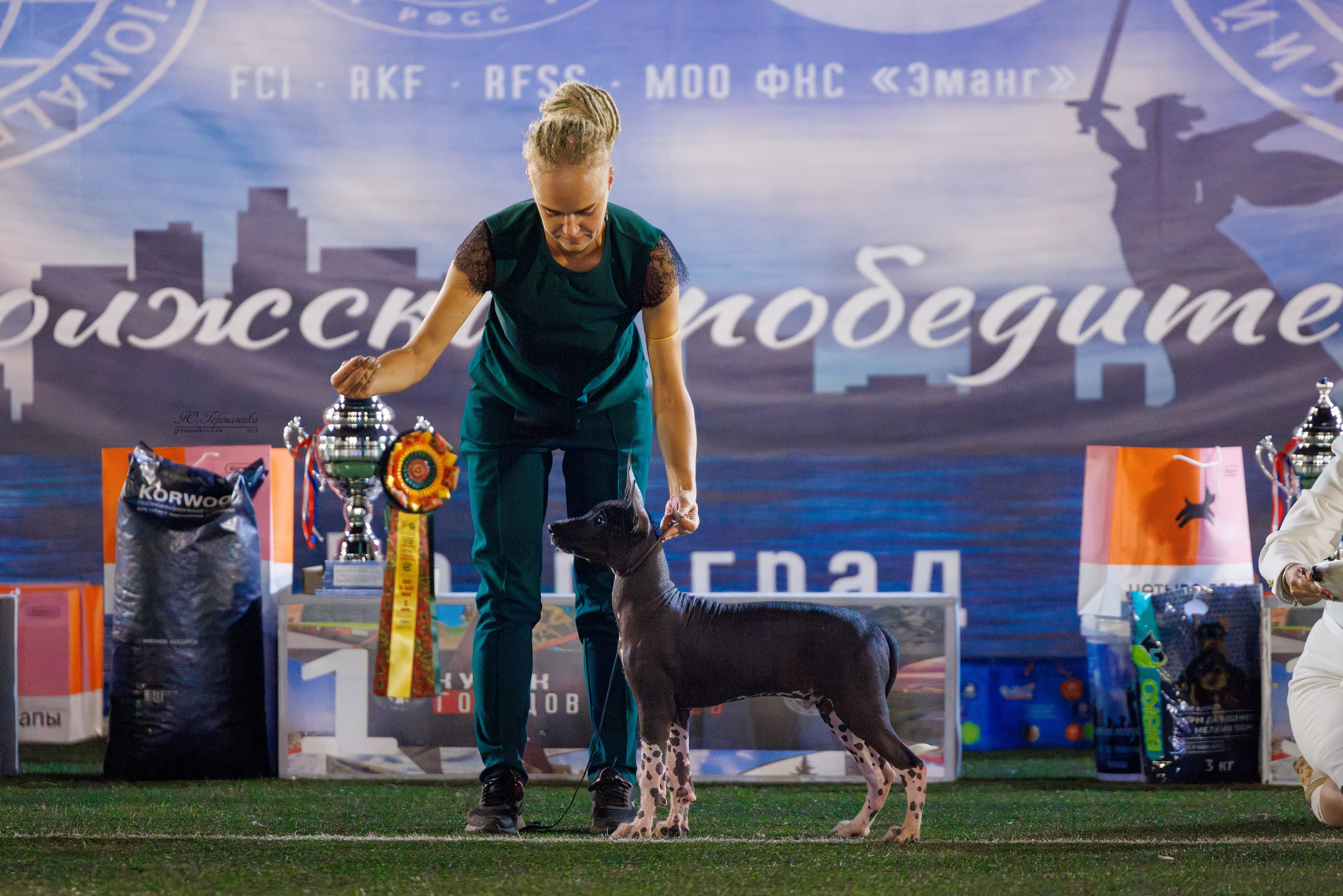 Волгоград 2-4.08.2024. Фотограф-анималист Юлия Германика