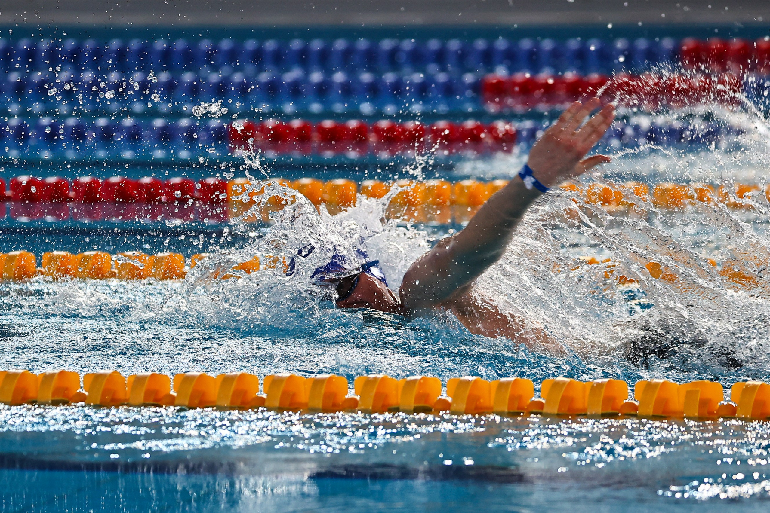 ДЗМ Плавание 2026. Фототерапевт Ева Бунеева