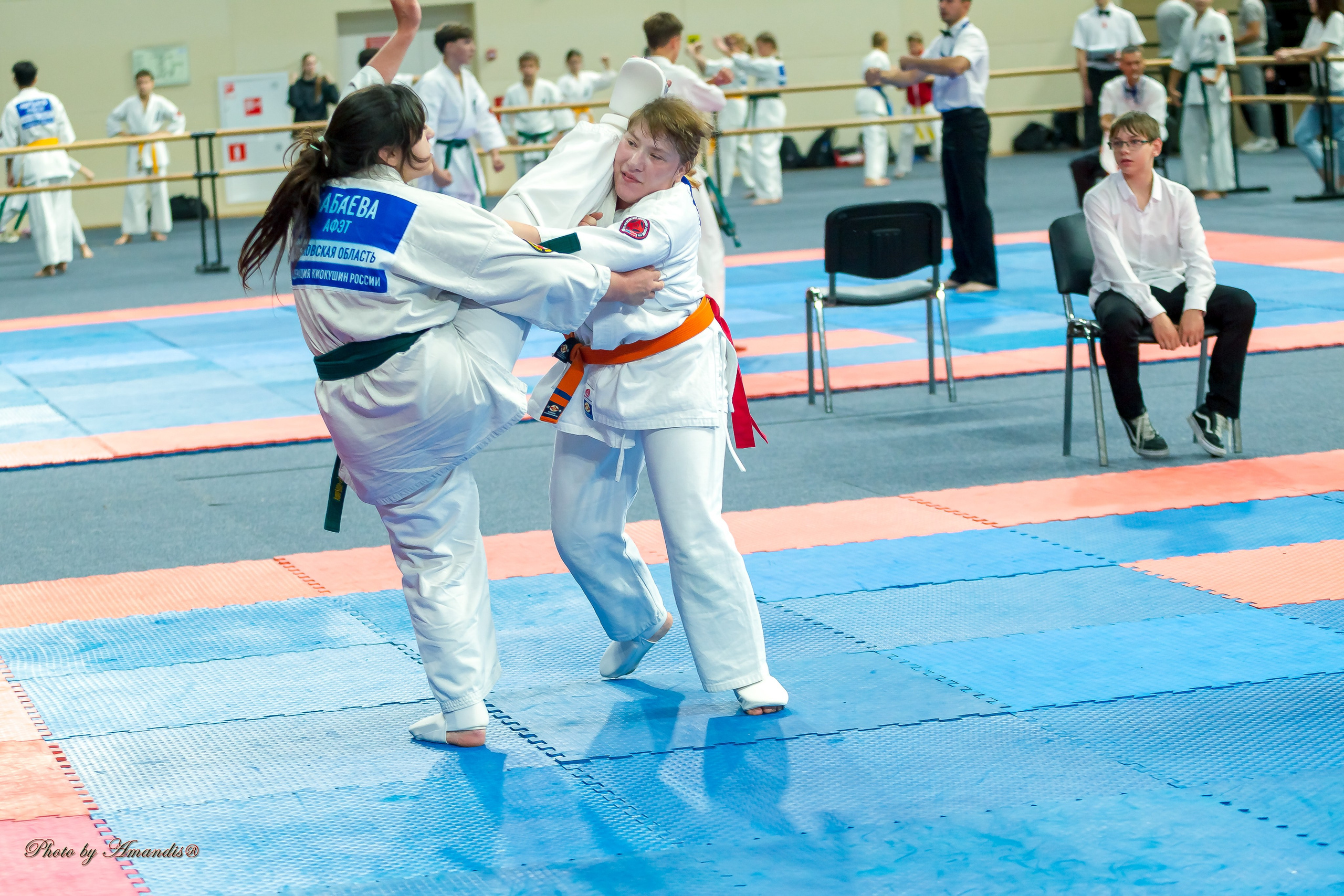 Первенство Московской области по Киокушин в СК «Жаворонки». Репортажная съемка в Москве и области. Анималистика
