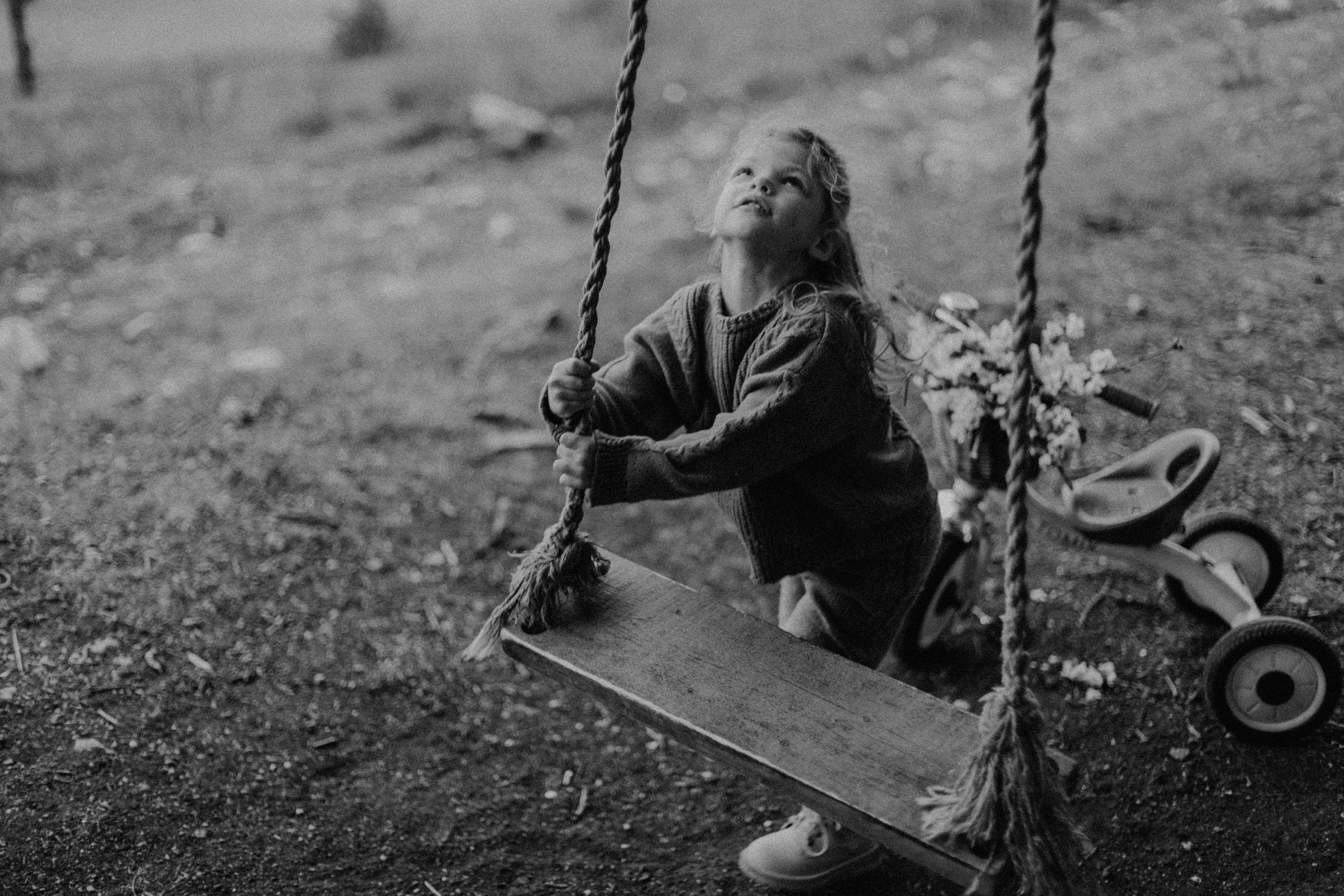 Крылатые качели. Фотограф в Севастополе | Крым