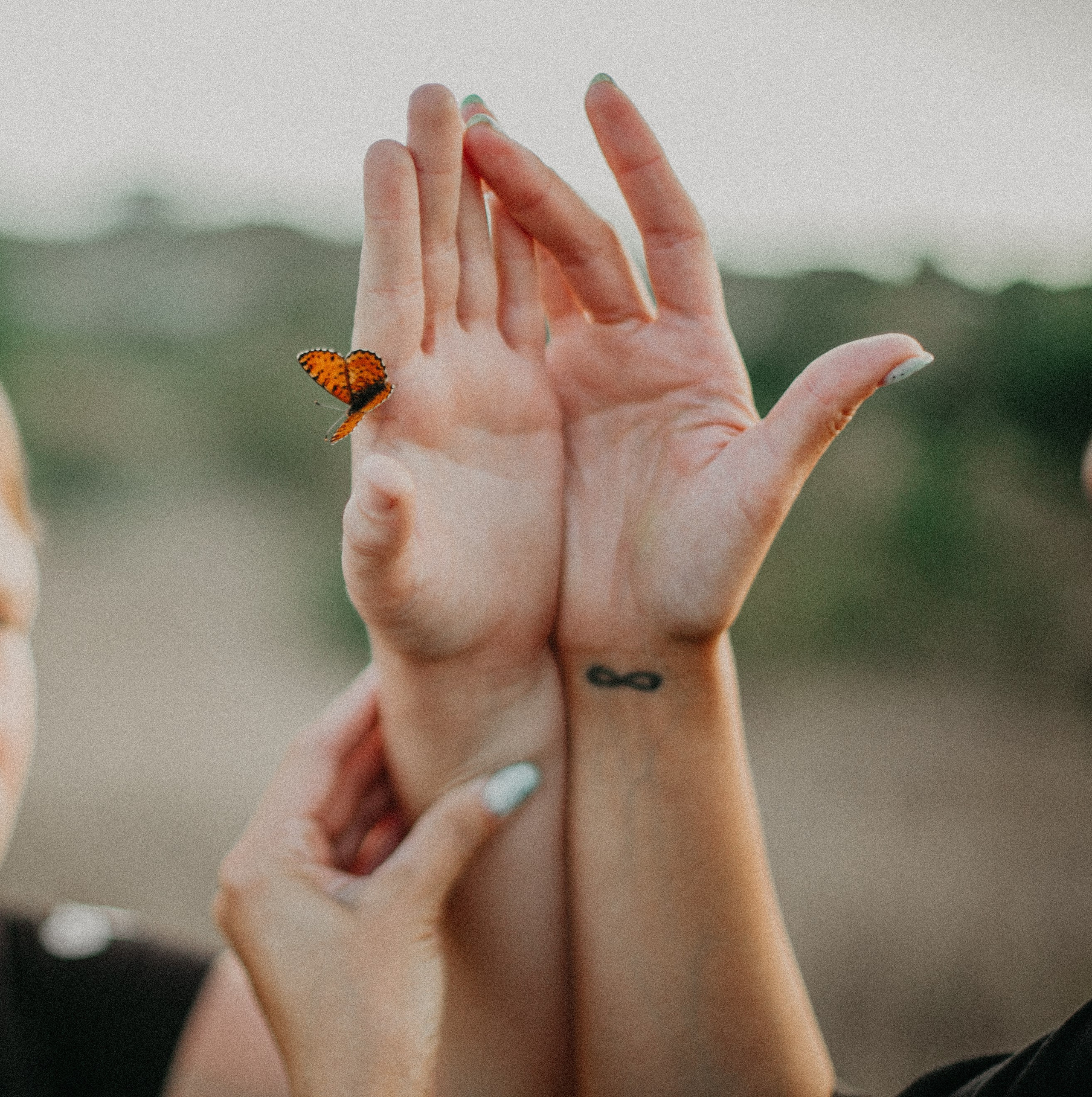 Тёплый ветер. Фотограф в Севастополе | Крым