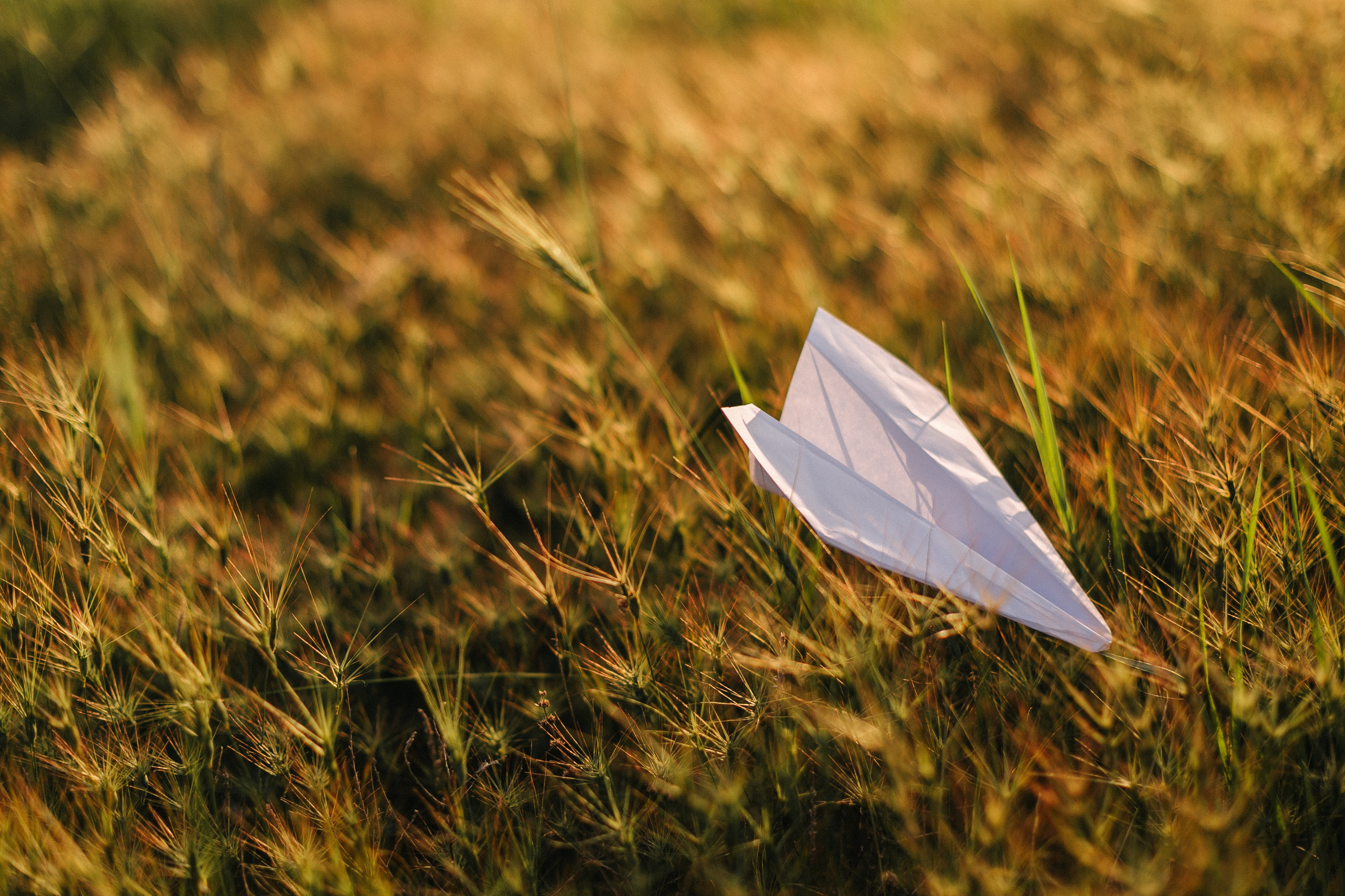С ветром наперегонки. Фотограф в Севастополе | Крым