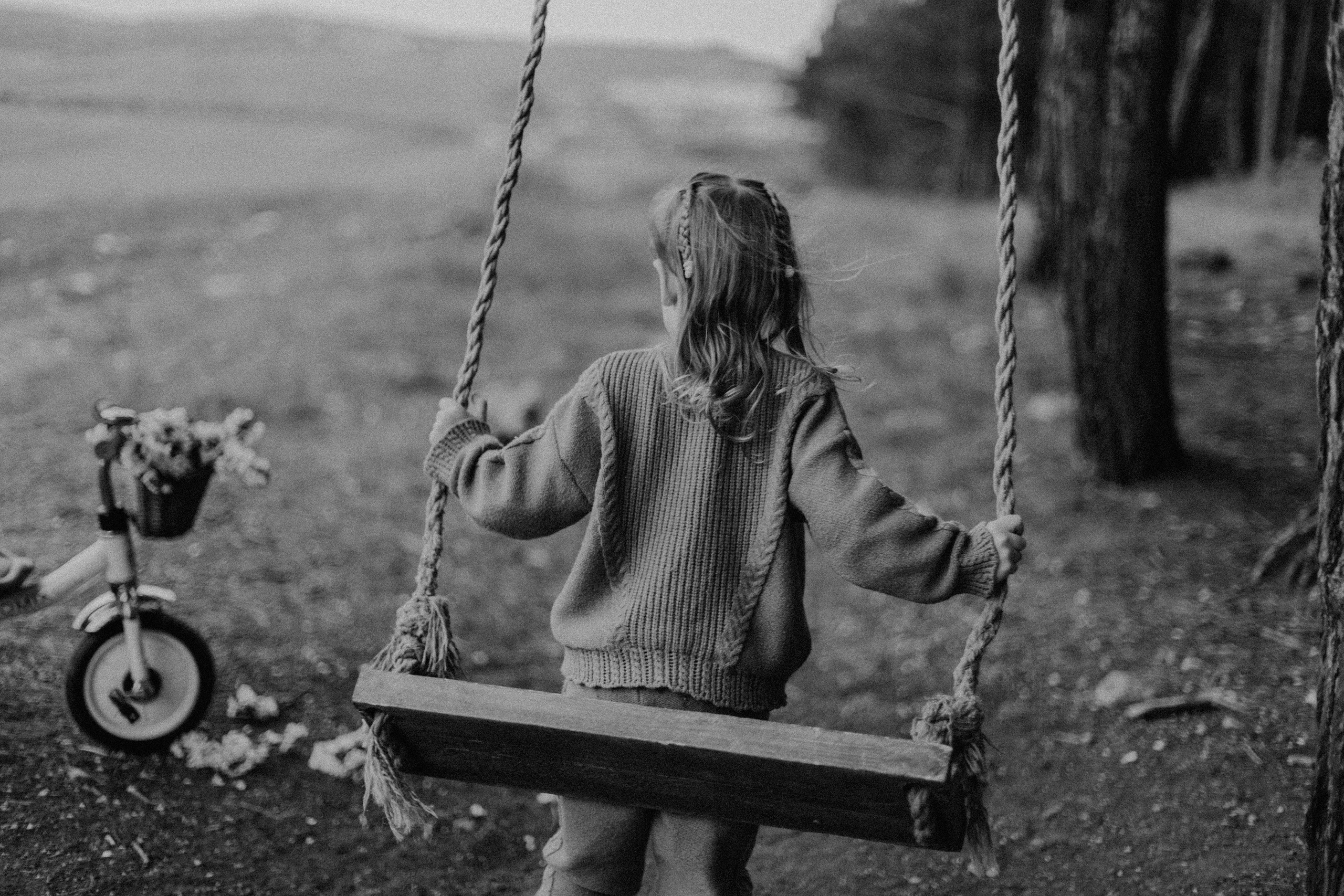 Крылатые качели. Фотограф в Севастополе | Крым