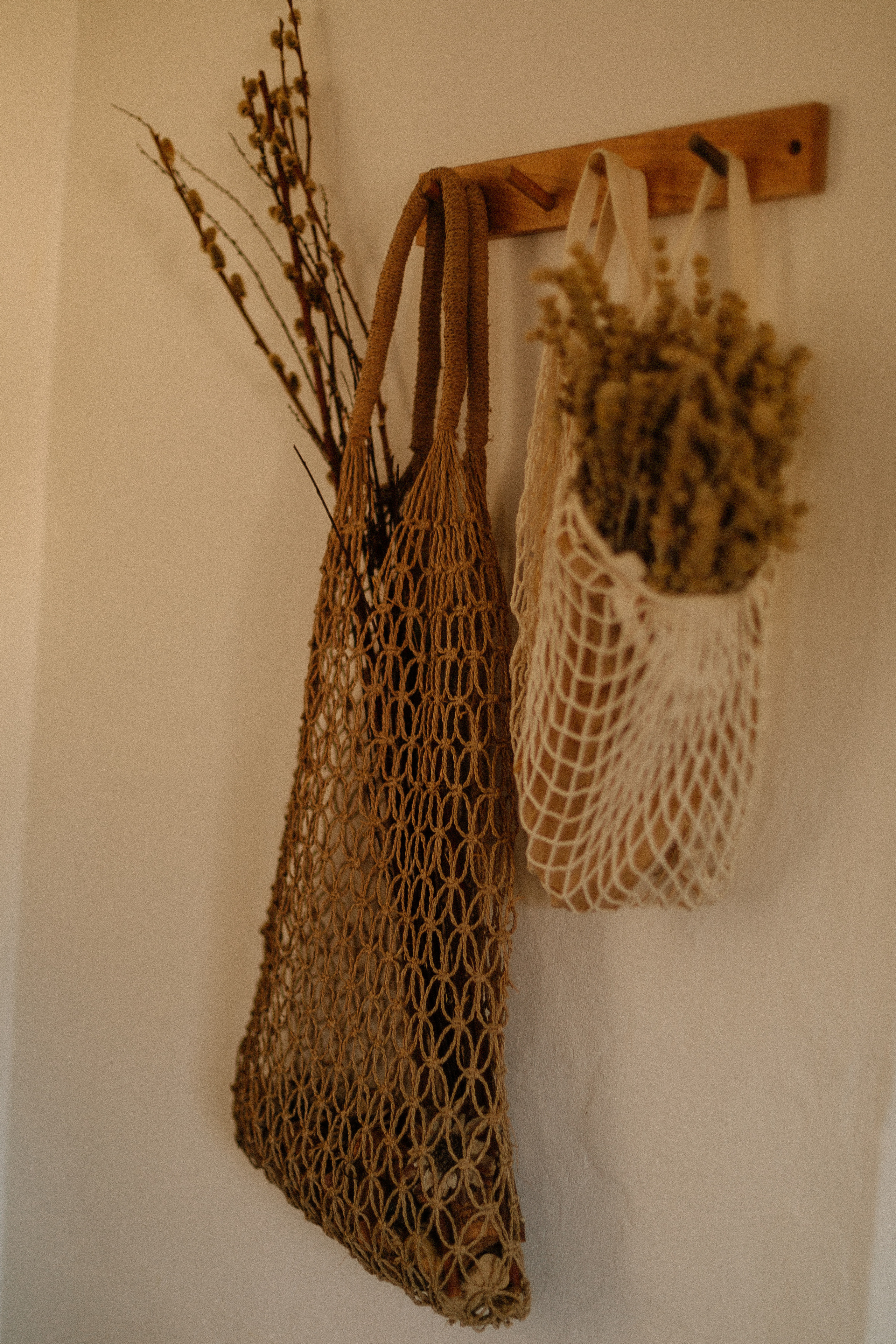 Дом, милый дом. Фотограф в Севастополе | Крым