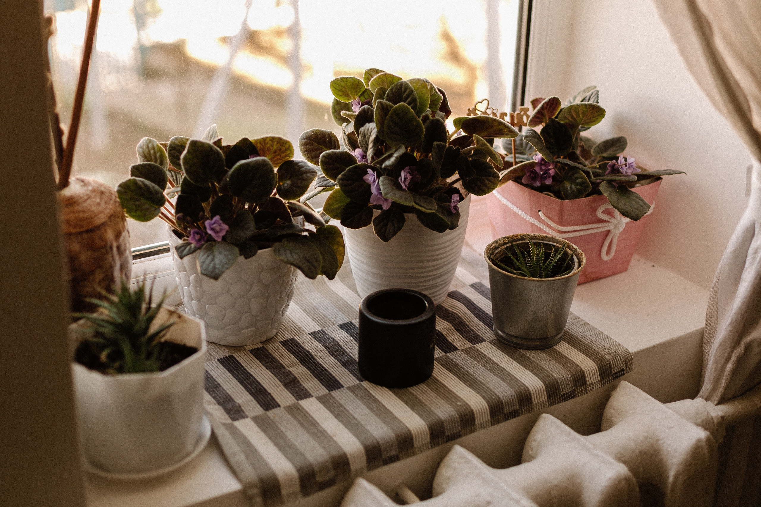 Дом, милый дом. Фотограф в Севастополе | Крым