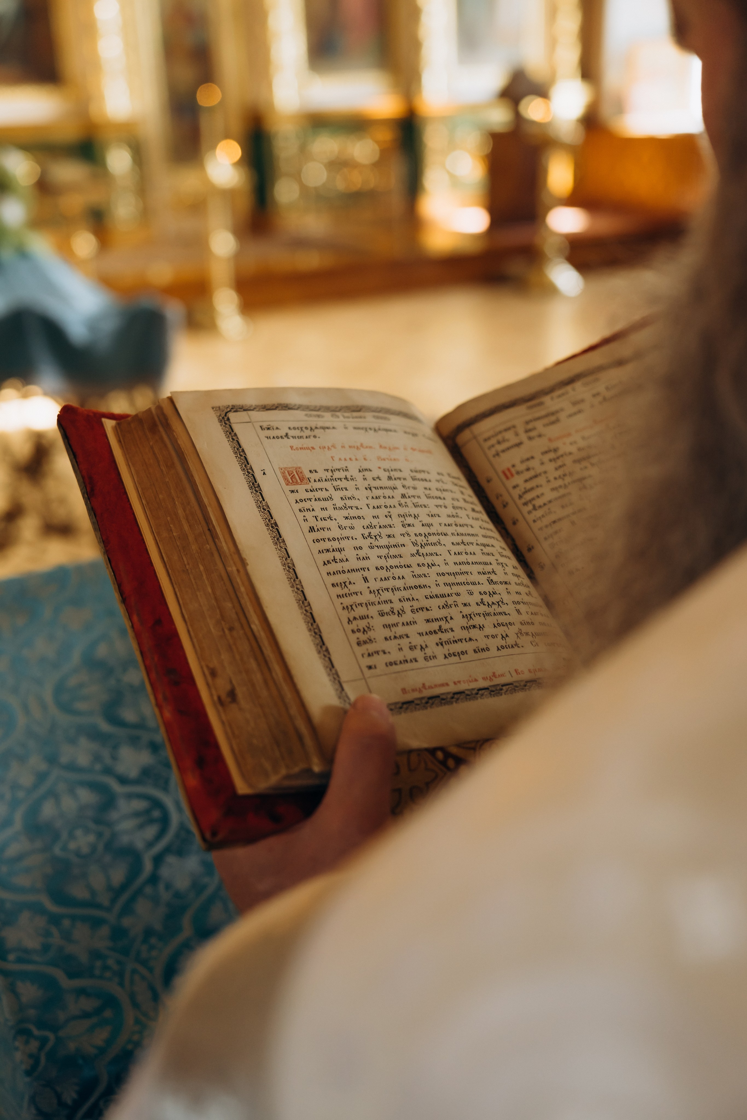 Владимир и Елисавета. Ирина Гонтарева|Фотограф|Белгород