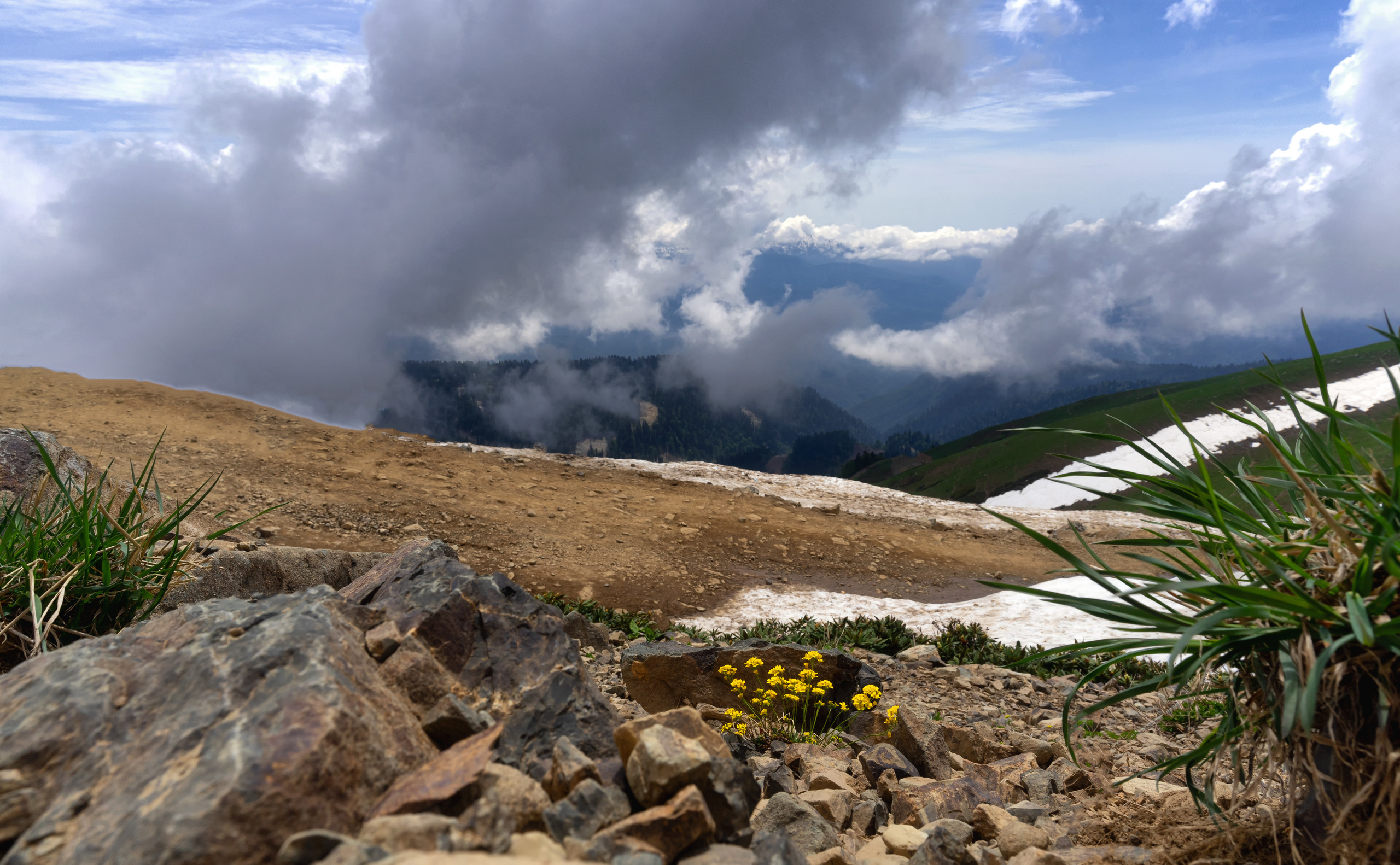 Анна Рогачева — фотограф дикой природы