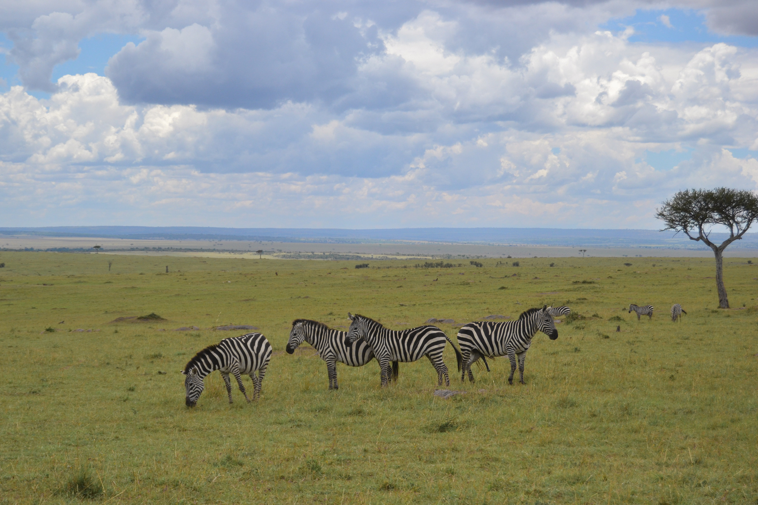 Поездка в Африку