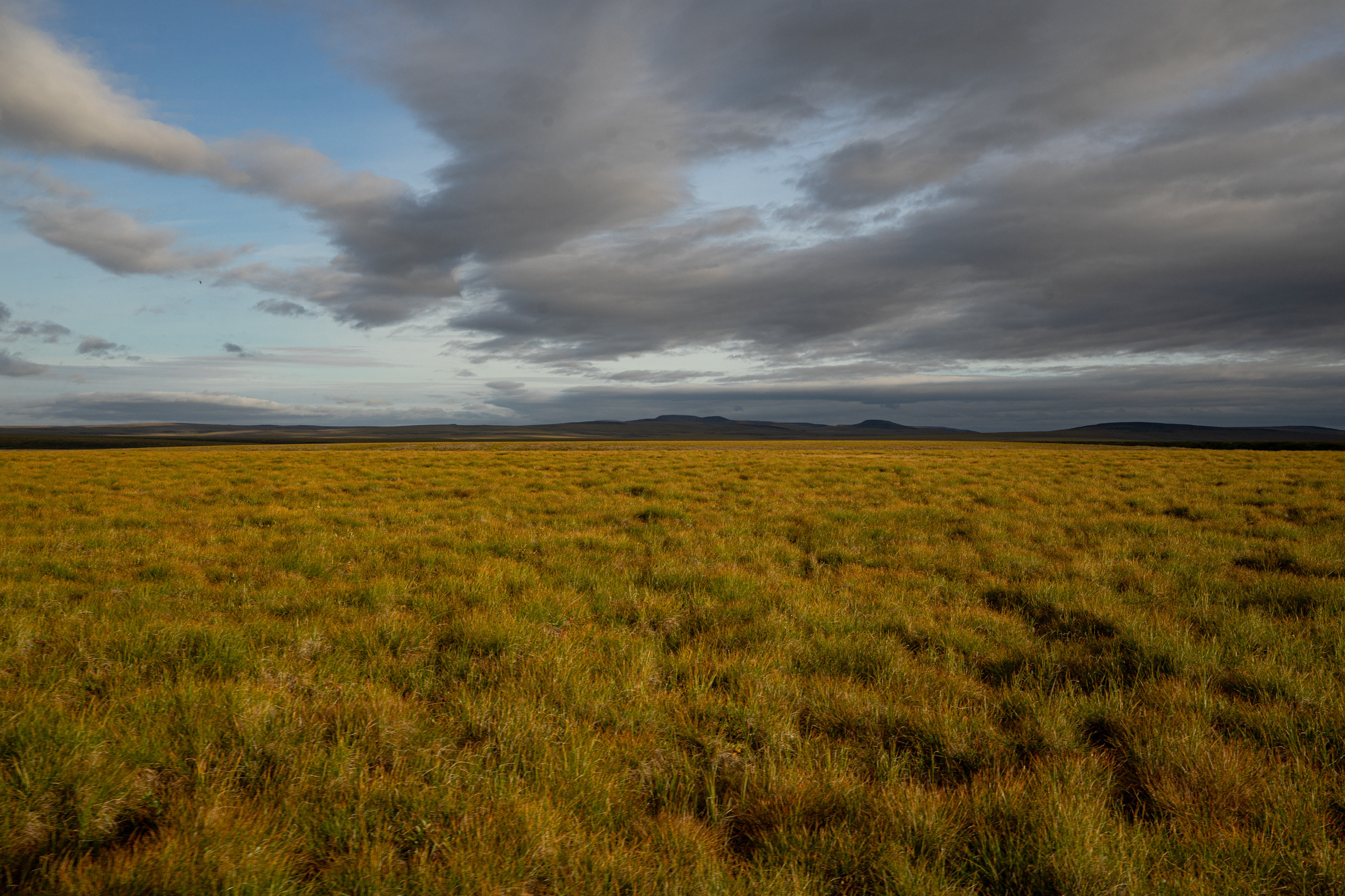 Анна Рогачева — фотограф дикой природы