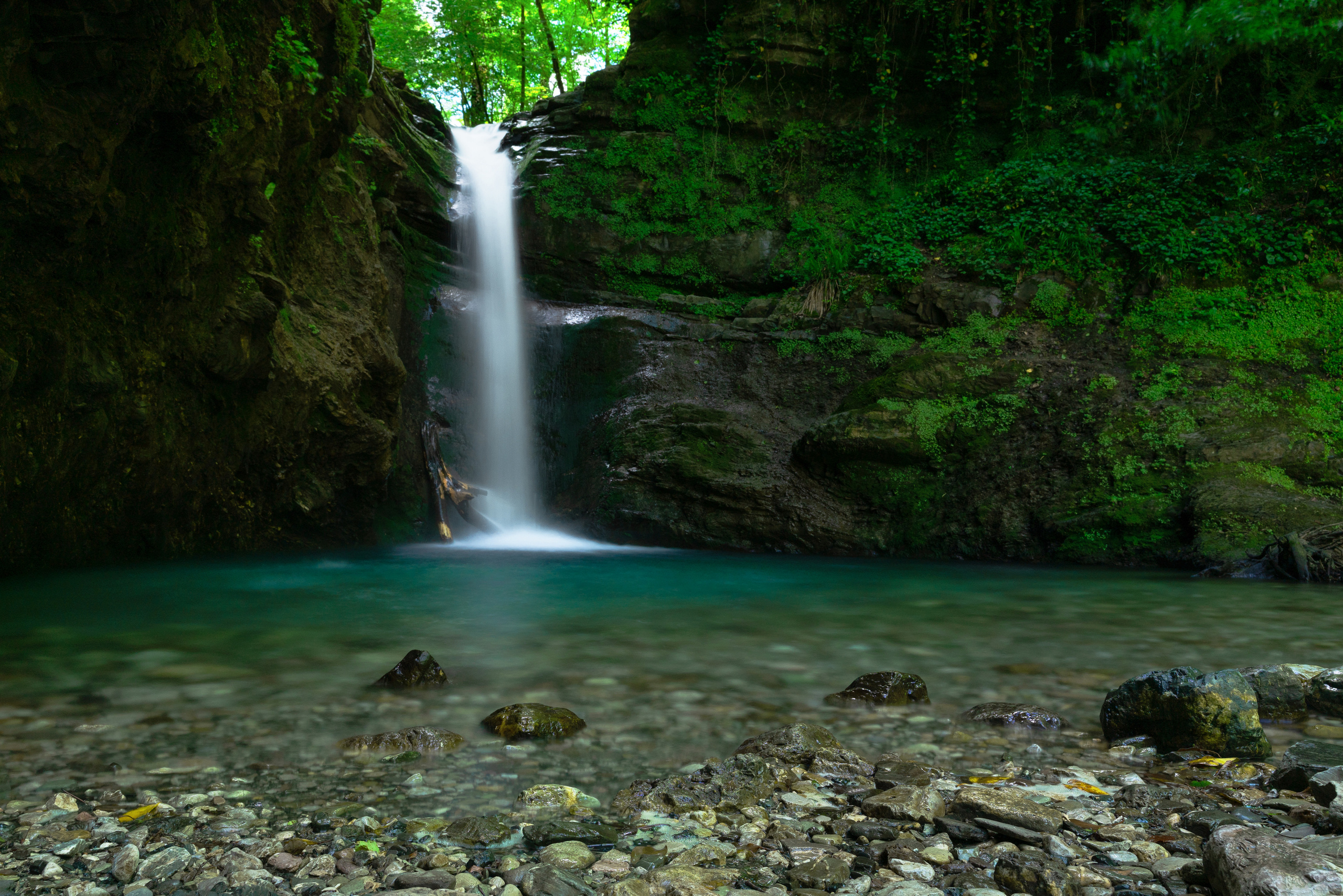 Анна Рогачева — фотограф дикой природы
