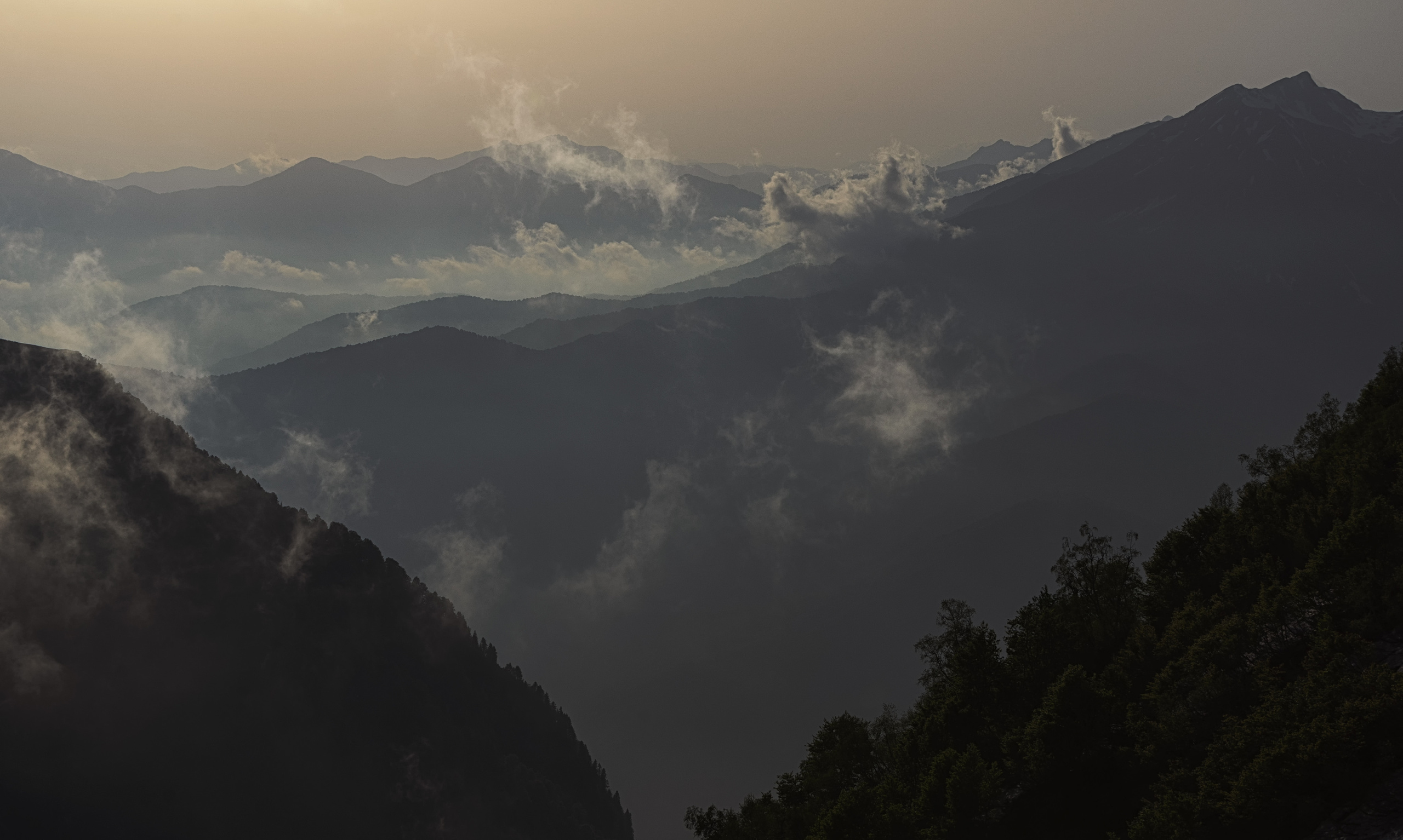 Анна Рогачева — фотограф дикой природы