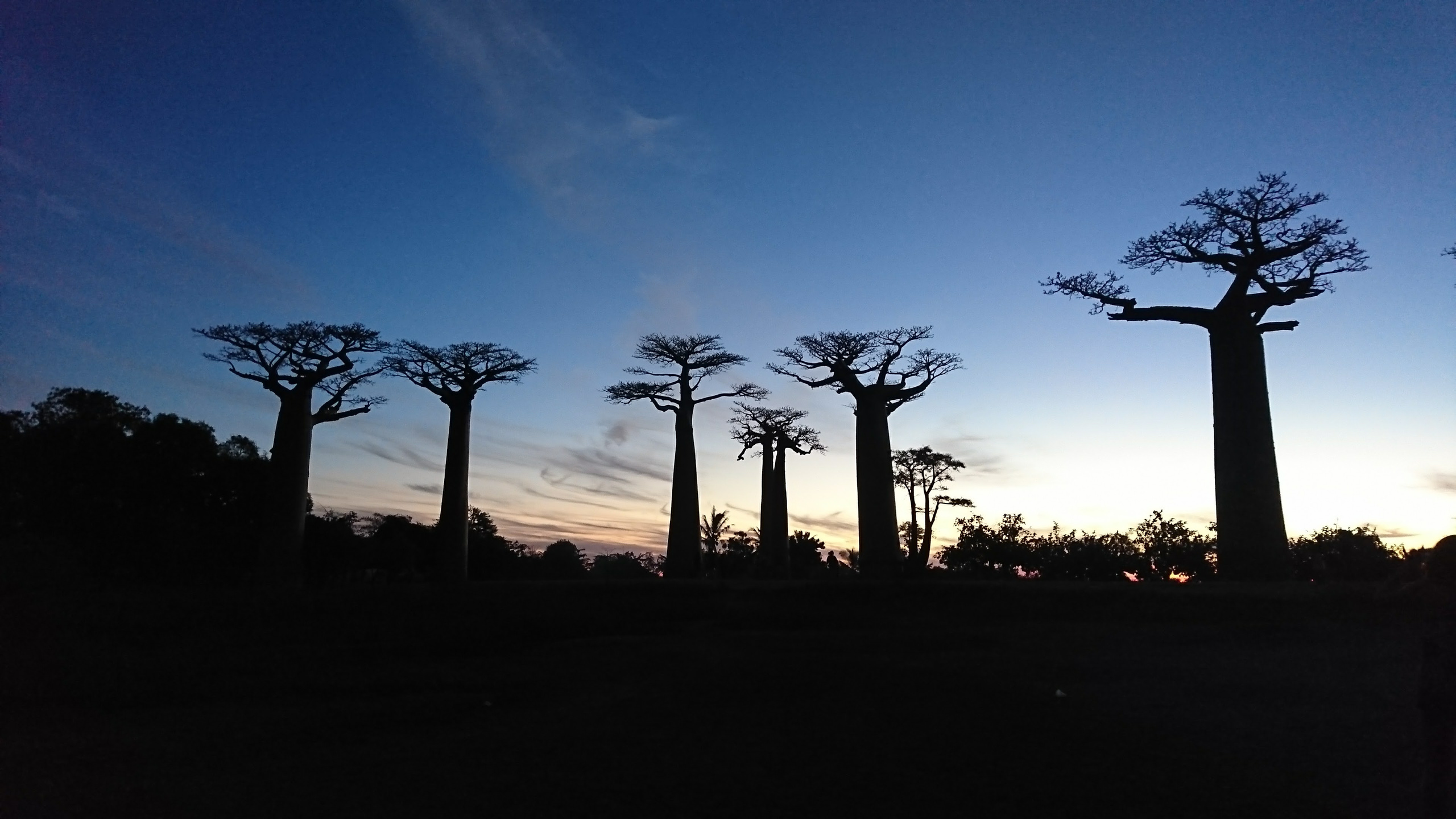 Мадагаскар