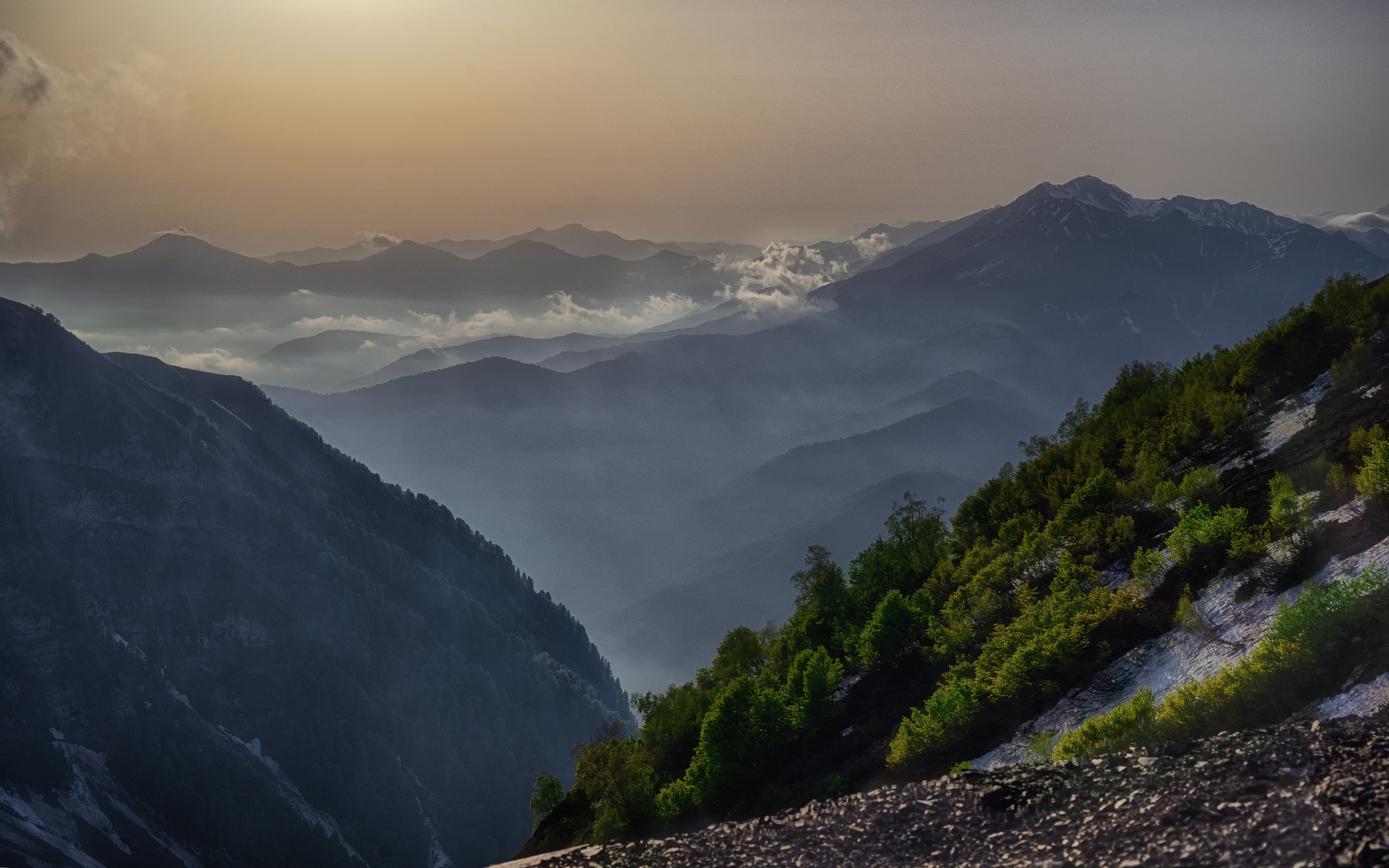 Анна Рогачева — фотограф дикой природы