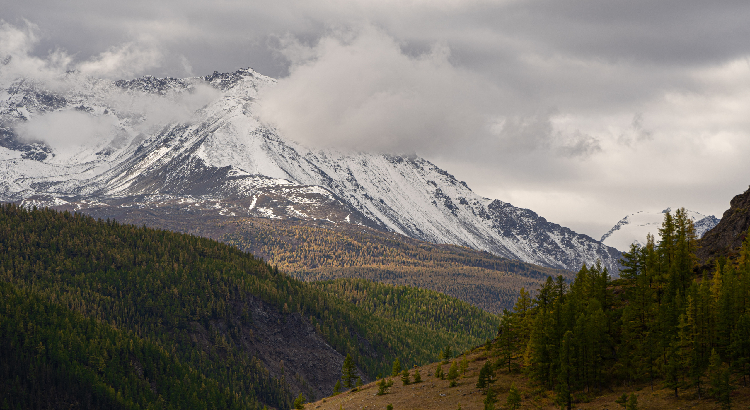 Виды по пути к Курайской степи