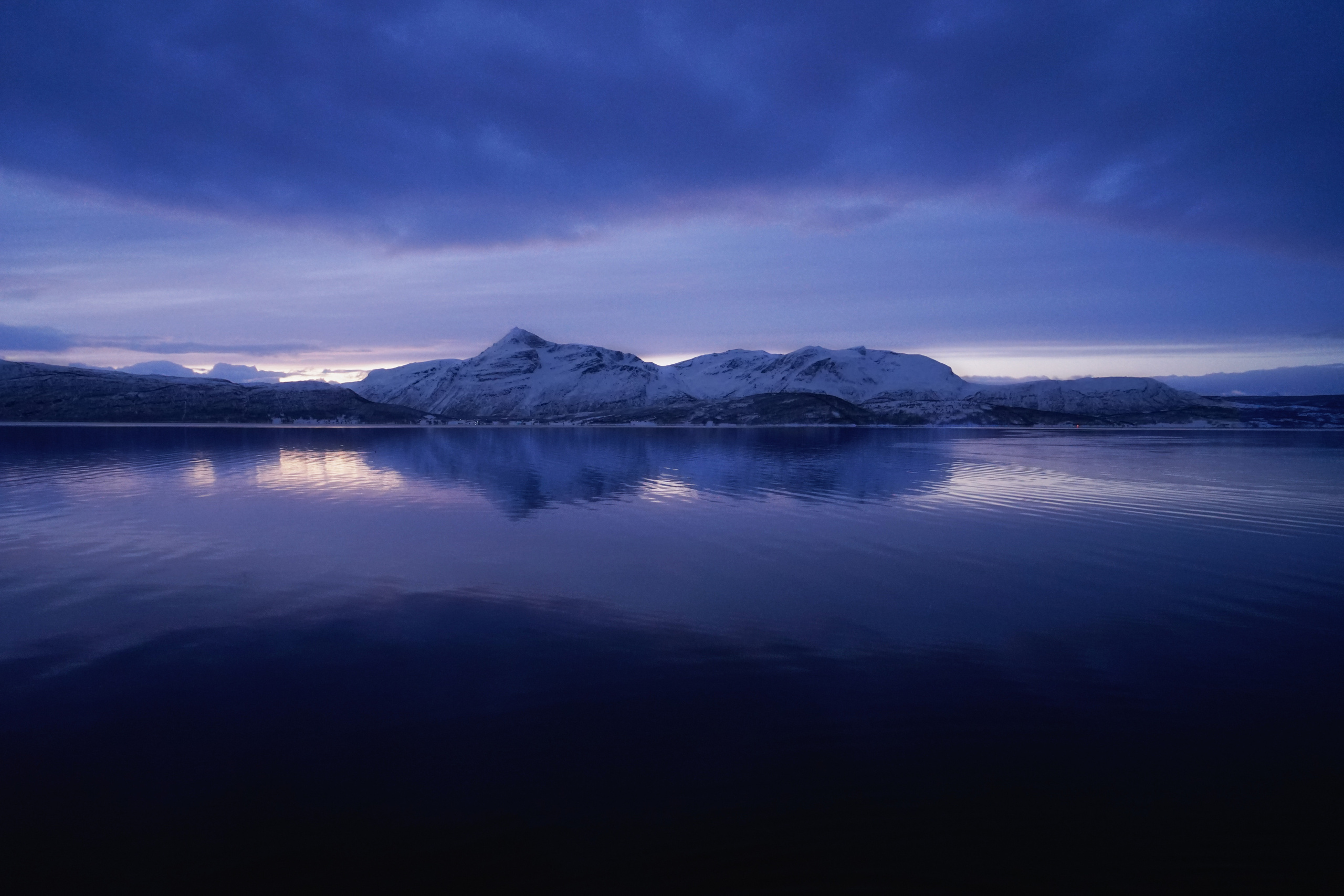 Анна Рогачева — фотограф дикой природы