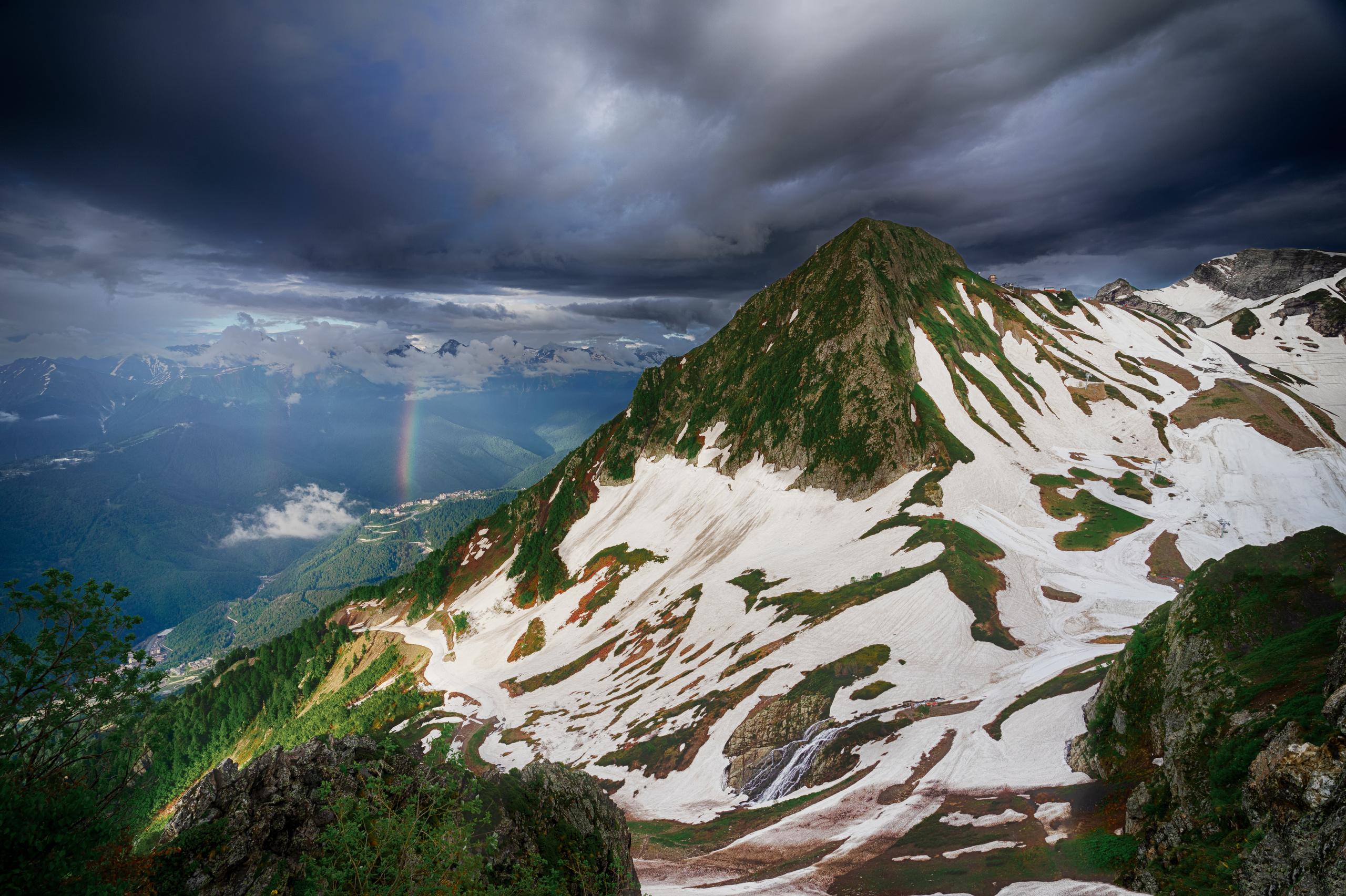 Анна Рогачева — фотограф дикой природы