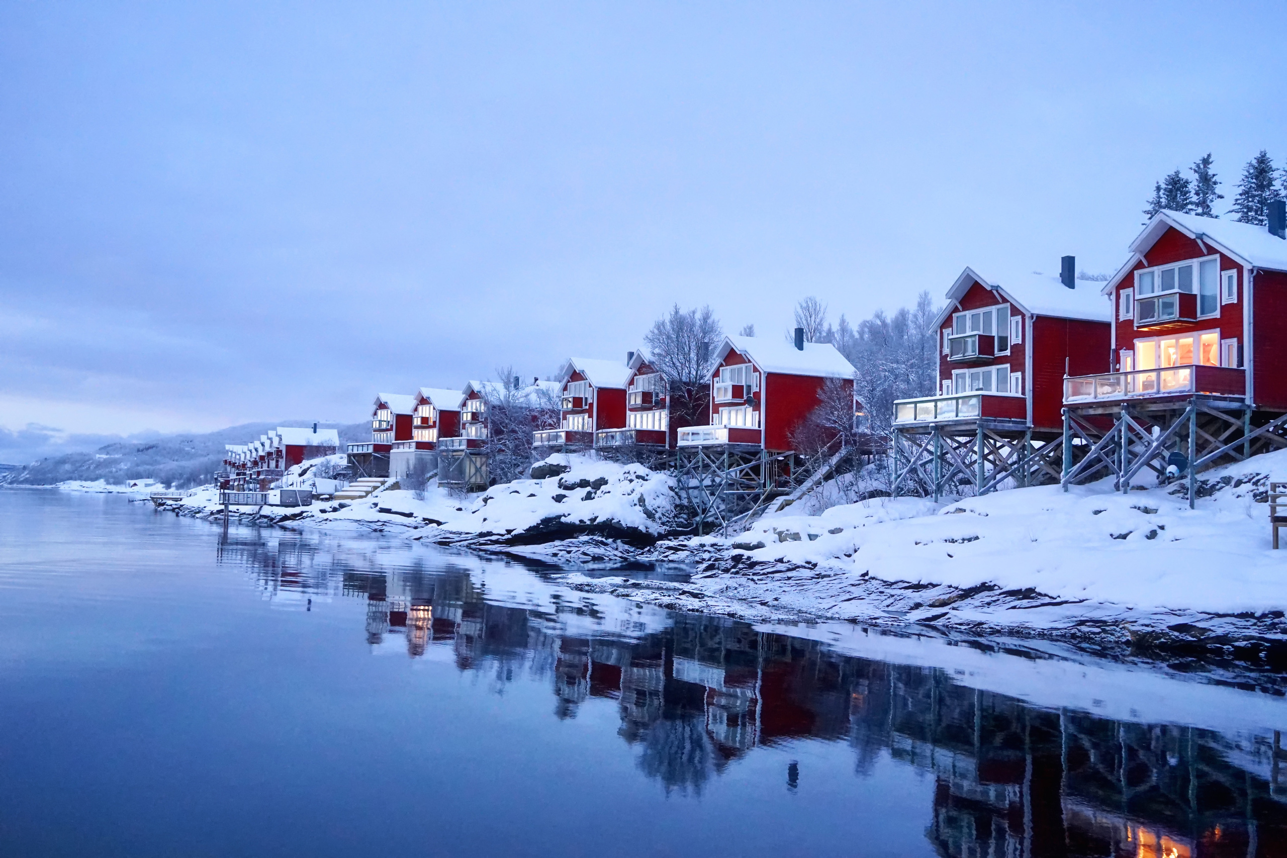 Анна Рогачева — фотограф дикой природы