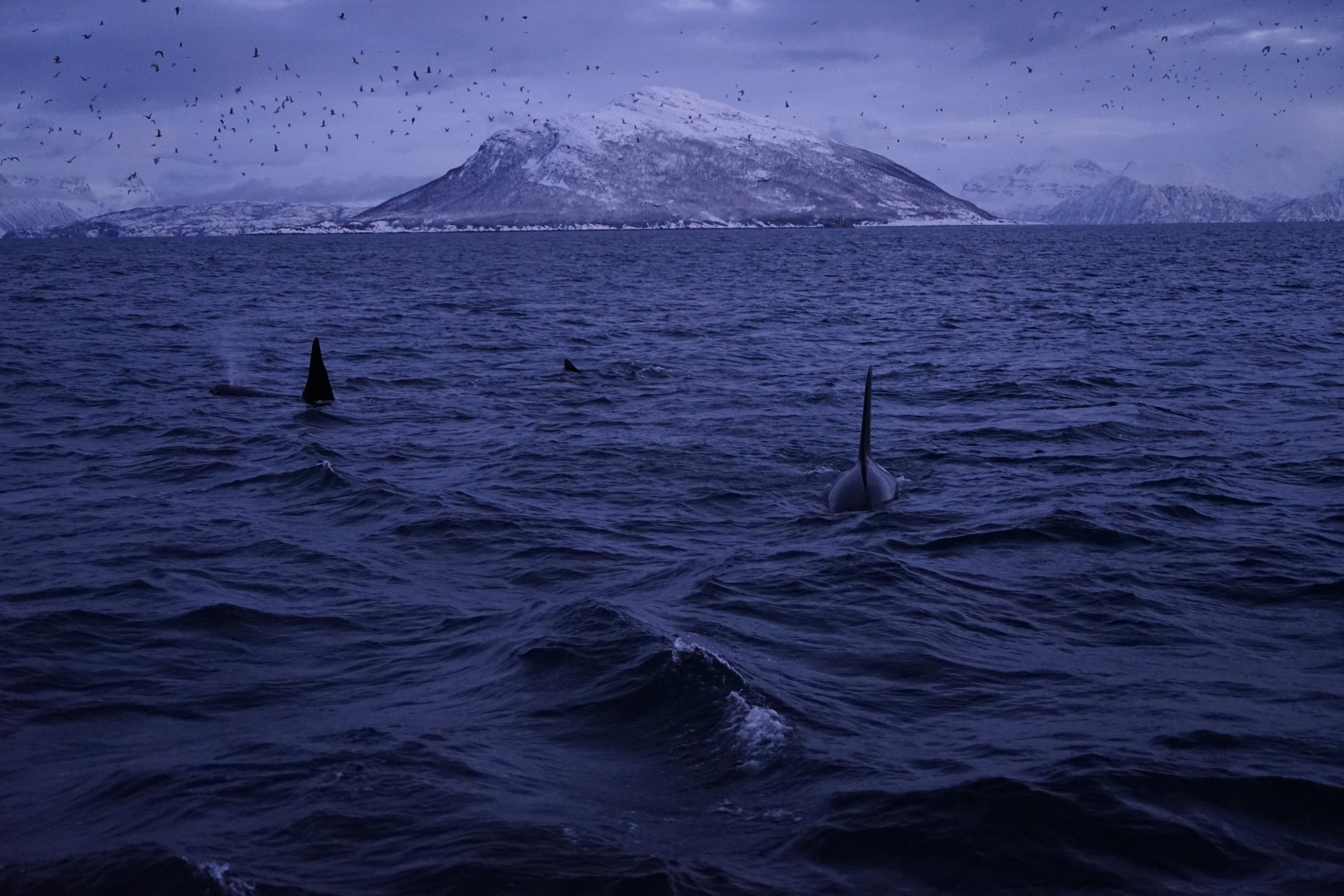 Зимняя Норвегия