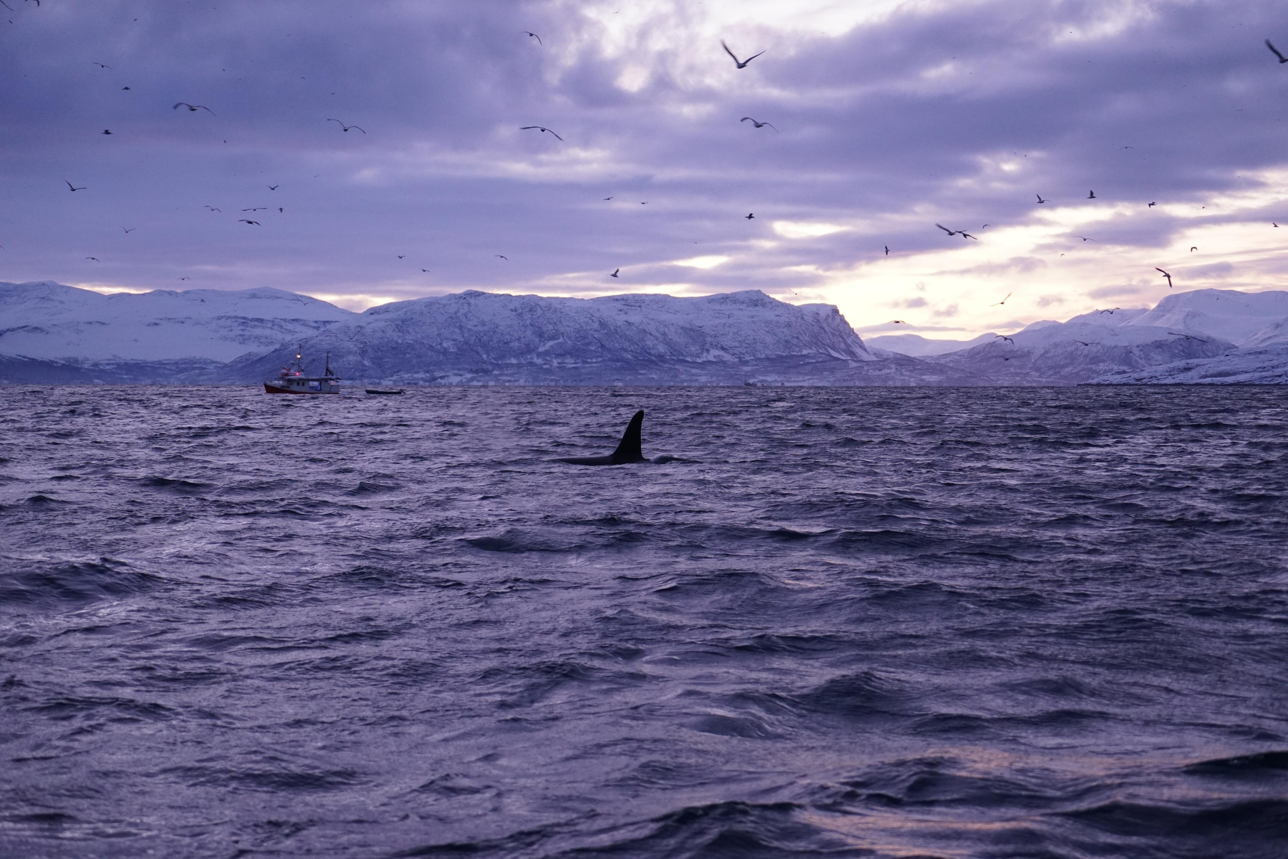 Зимняя Норвегия