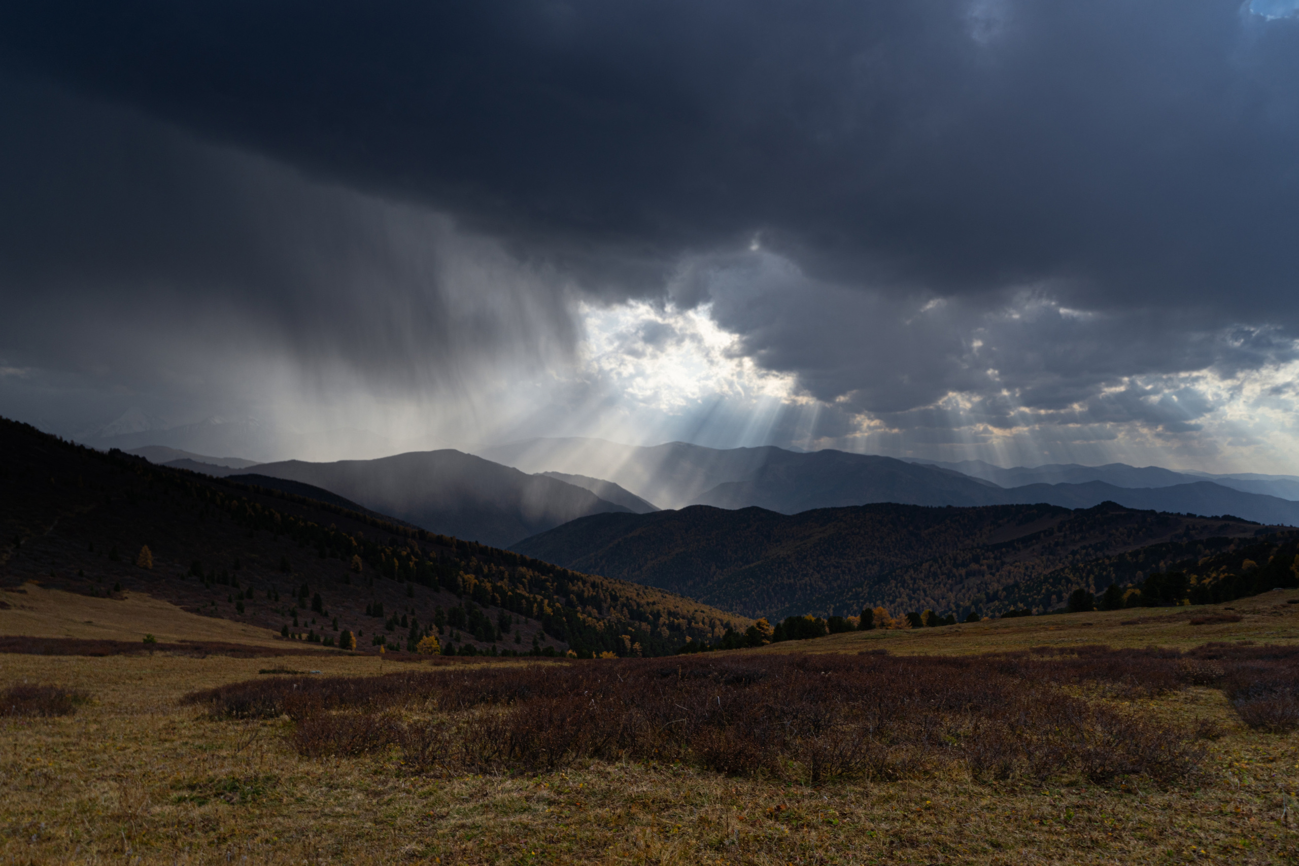 Анна Рогачева — фотограф дикой природы