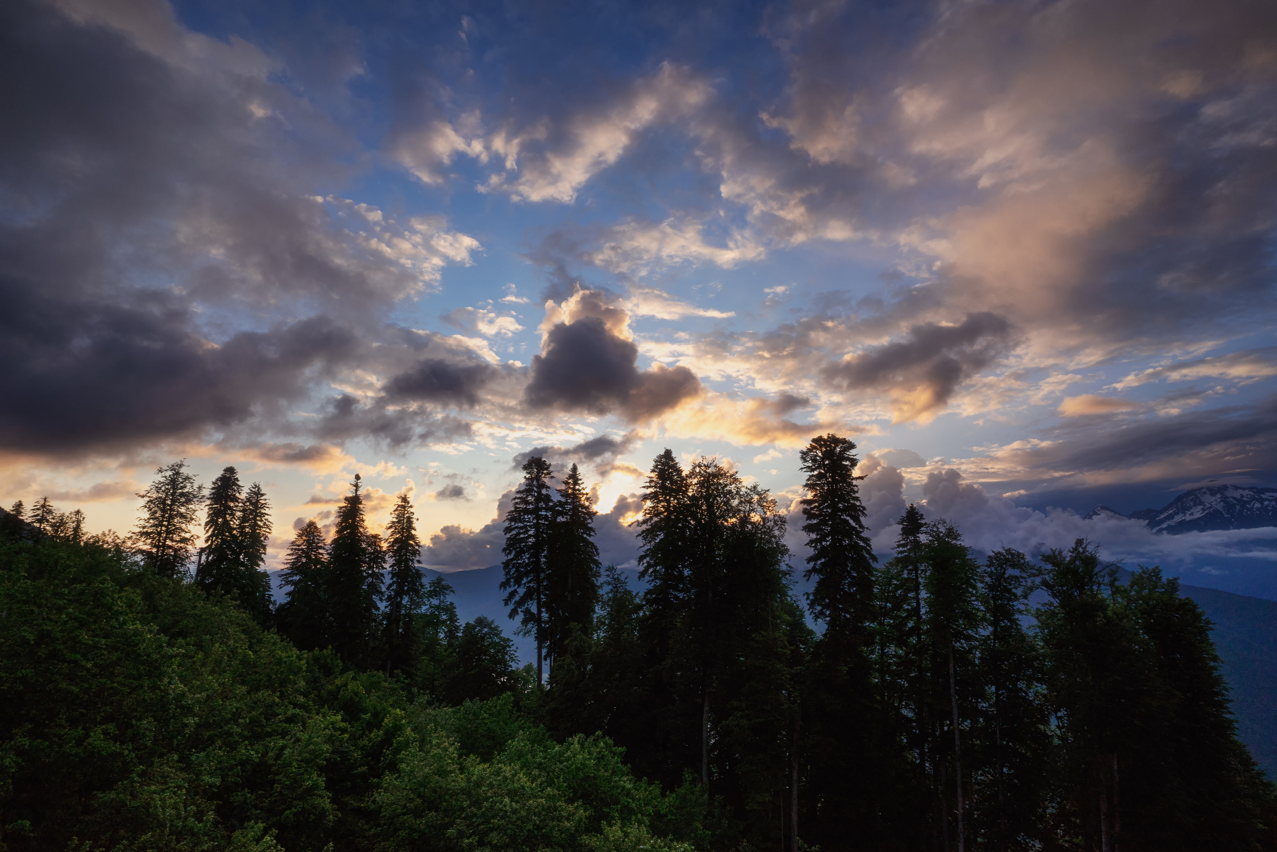 Анна Рогачева — фотограф дикой природы