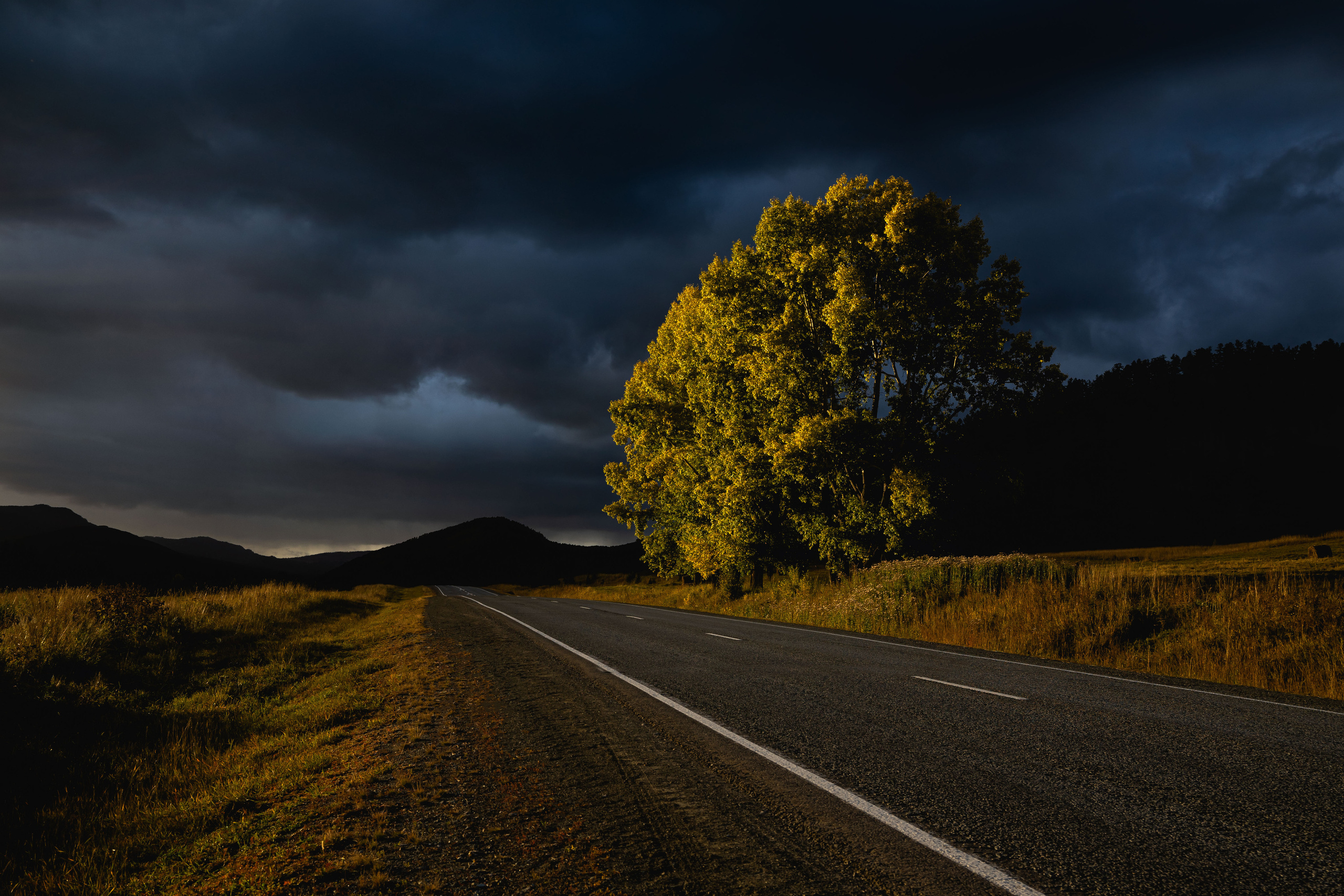 Анна Рогачева — фотограф дикой природы