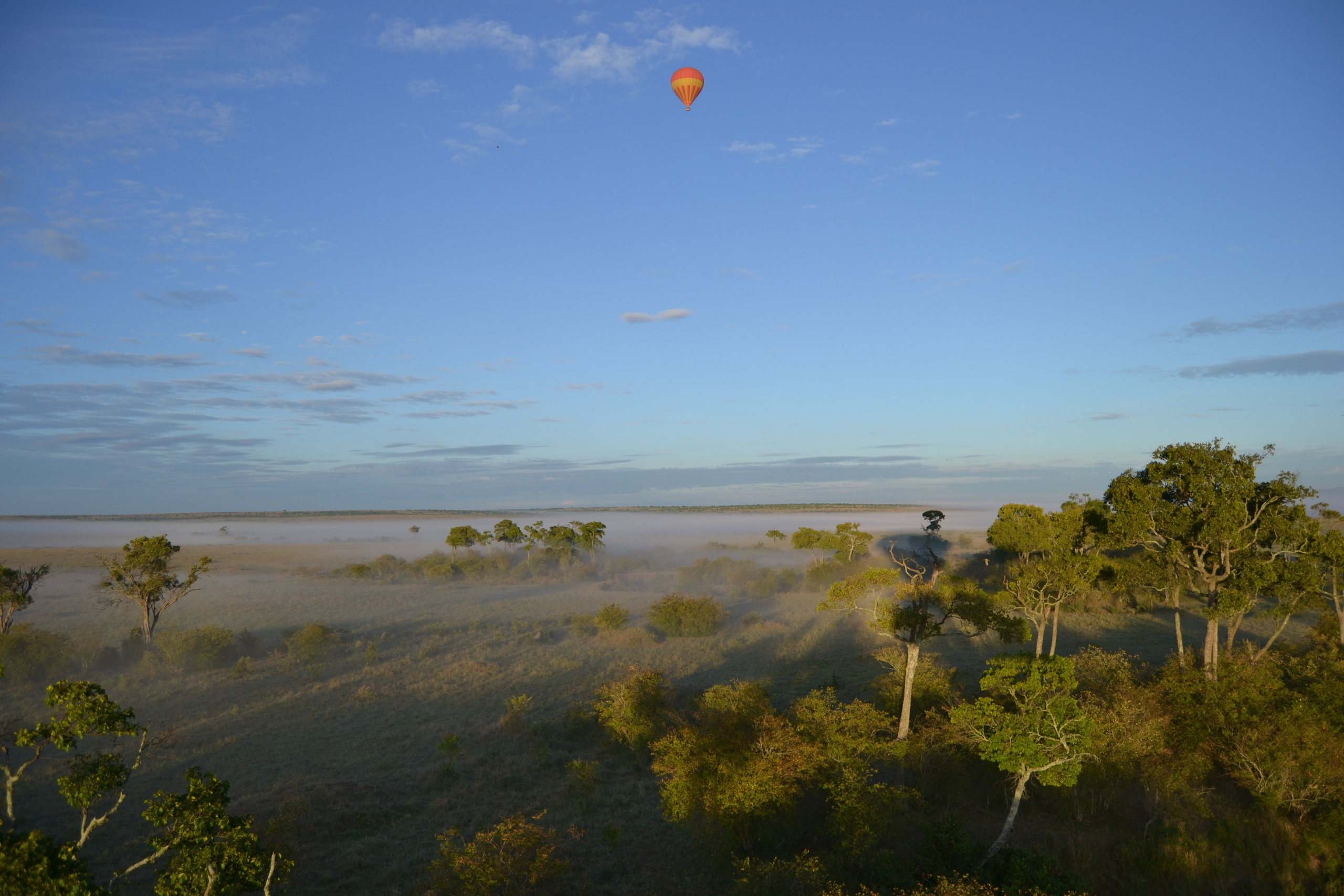 Поездка в Африку