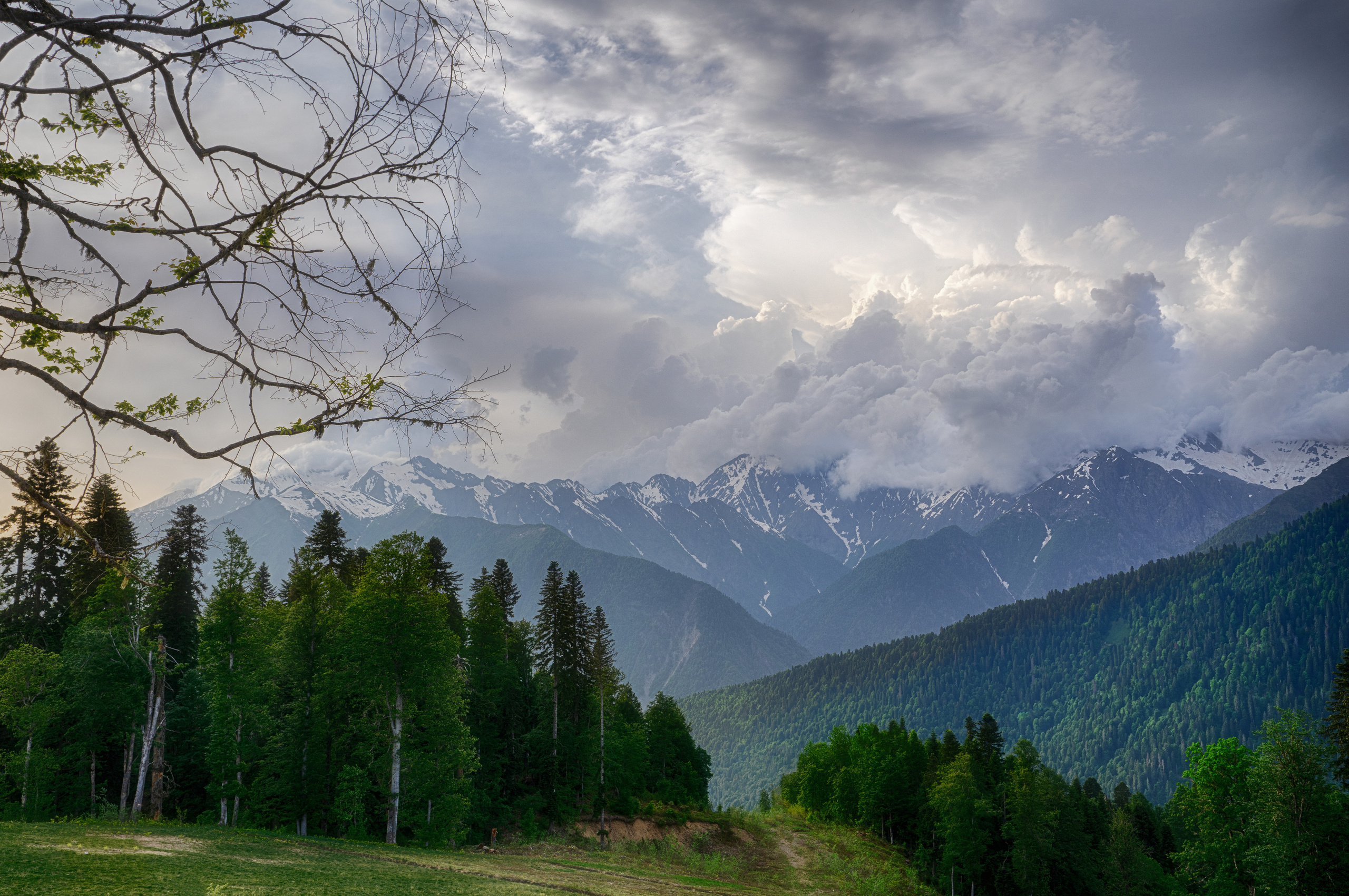 Анна Рогачева — фотограф дикой природы