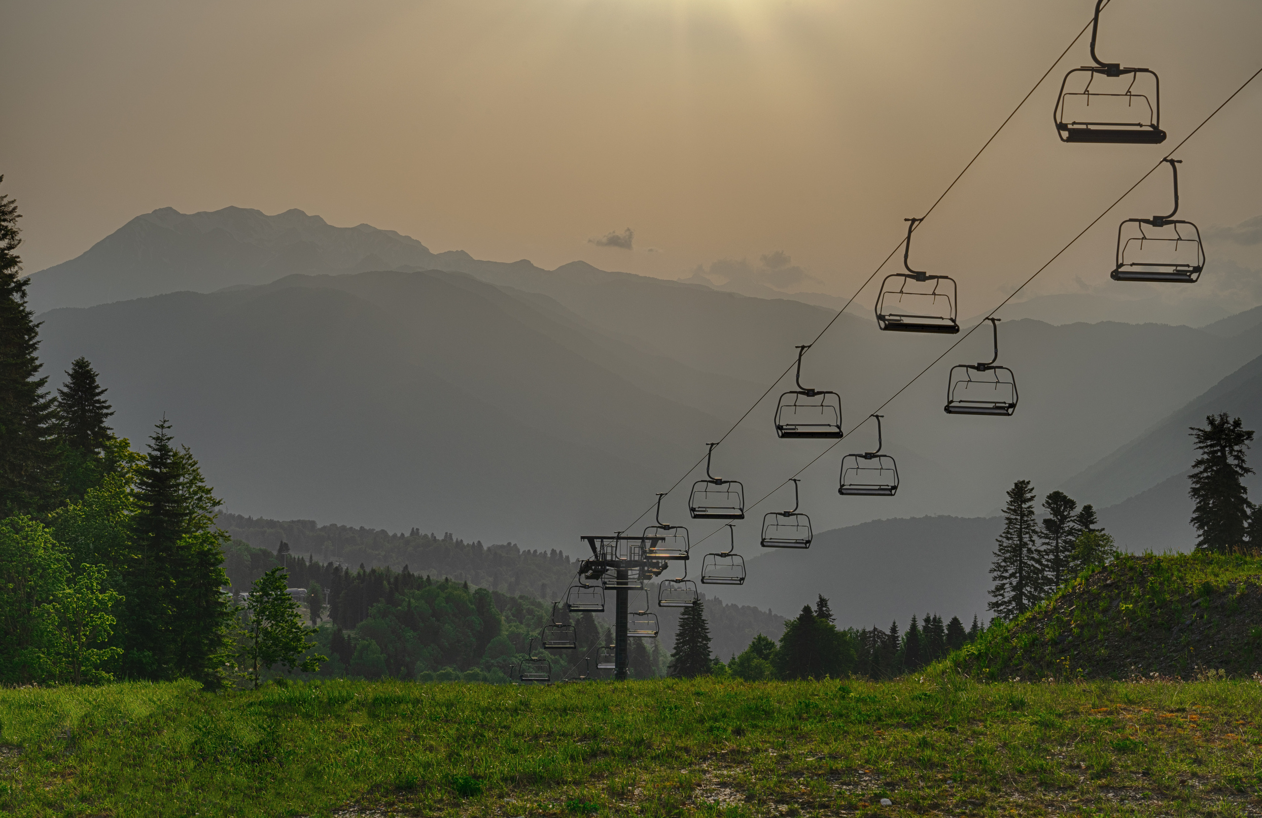 Анна Рогачева — фотограф дикой природы