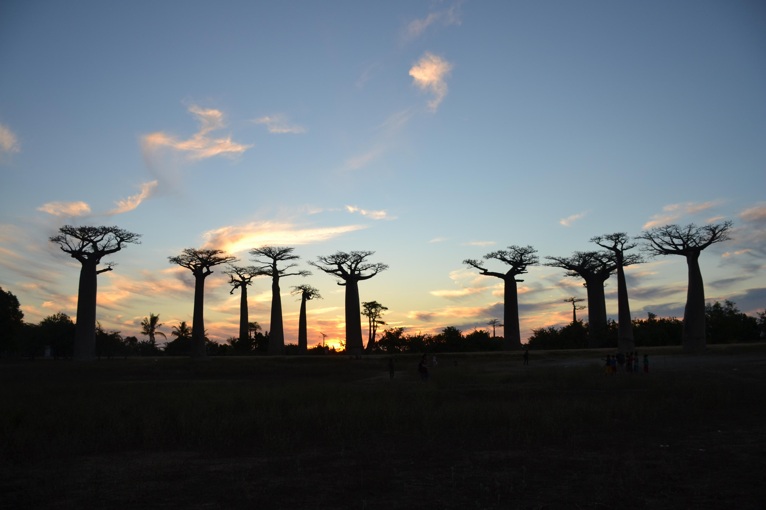 Мадагаскар