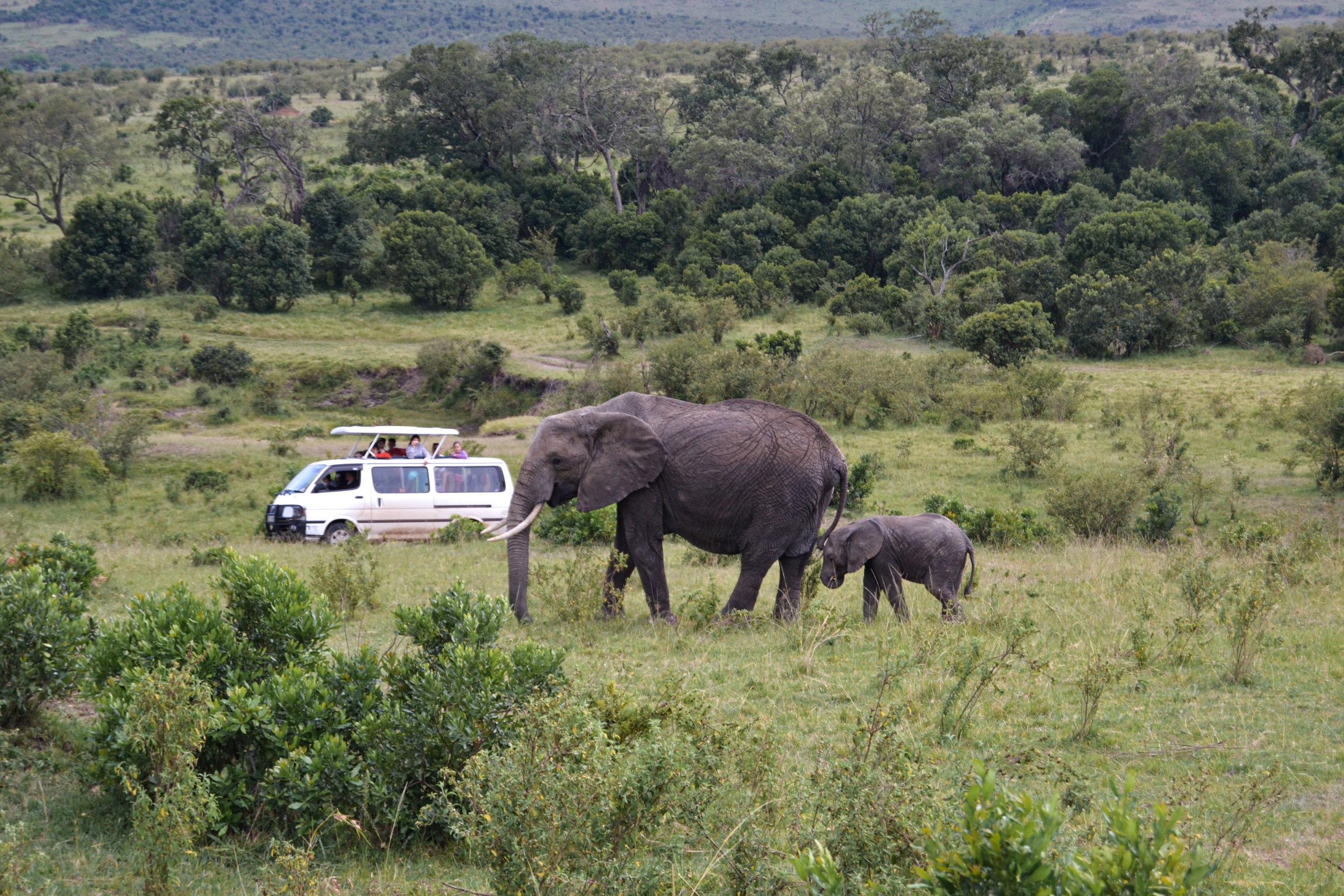 Поездка в Африку