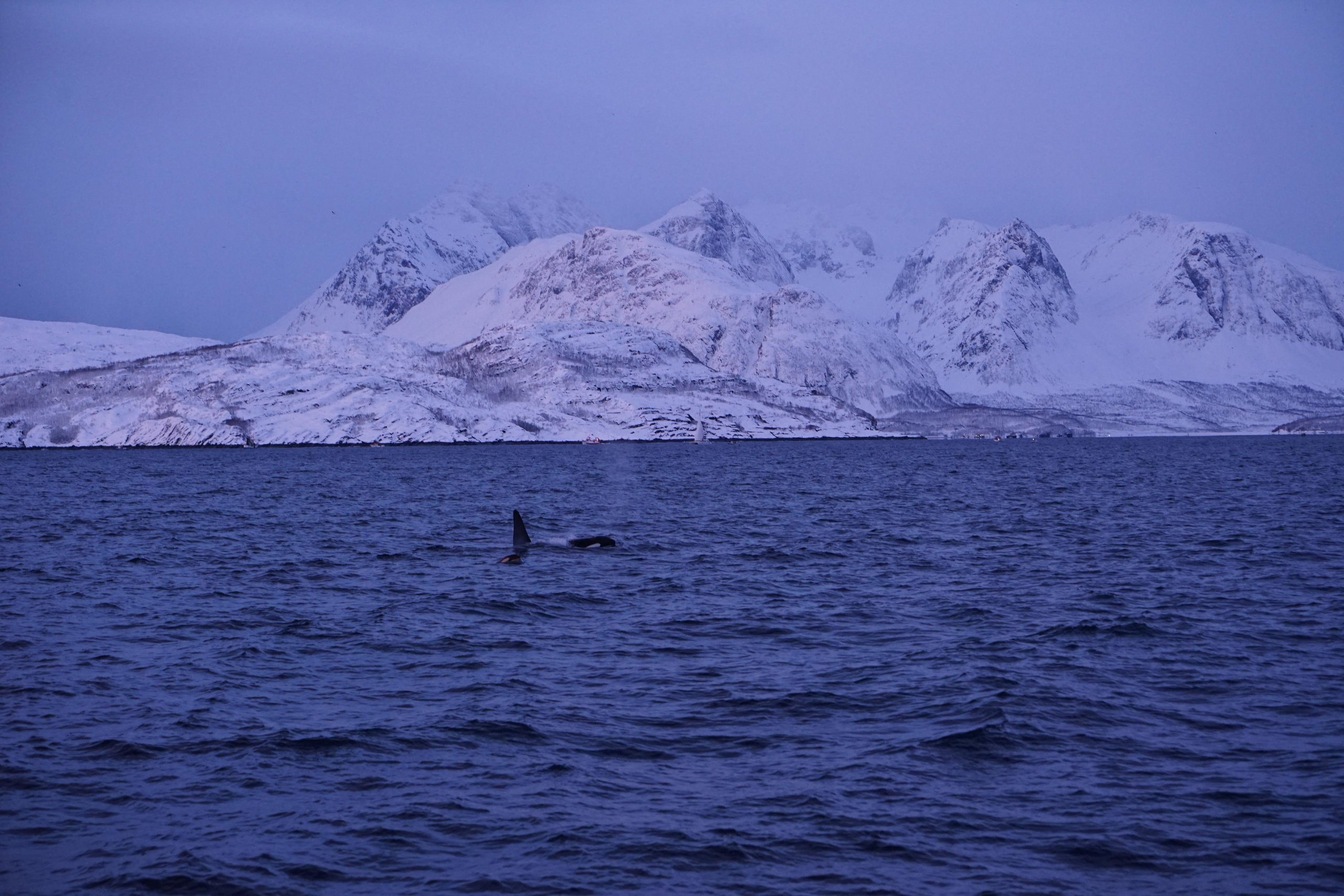 Зимняя Норвегия