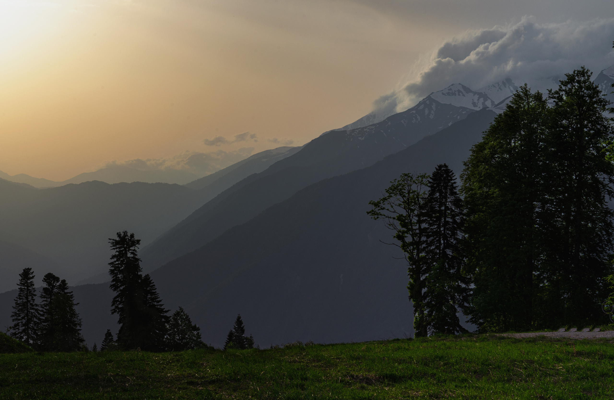 Анна Рогачева — фотограф дикой природы